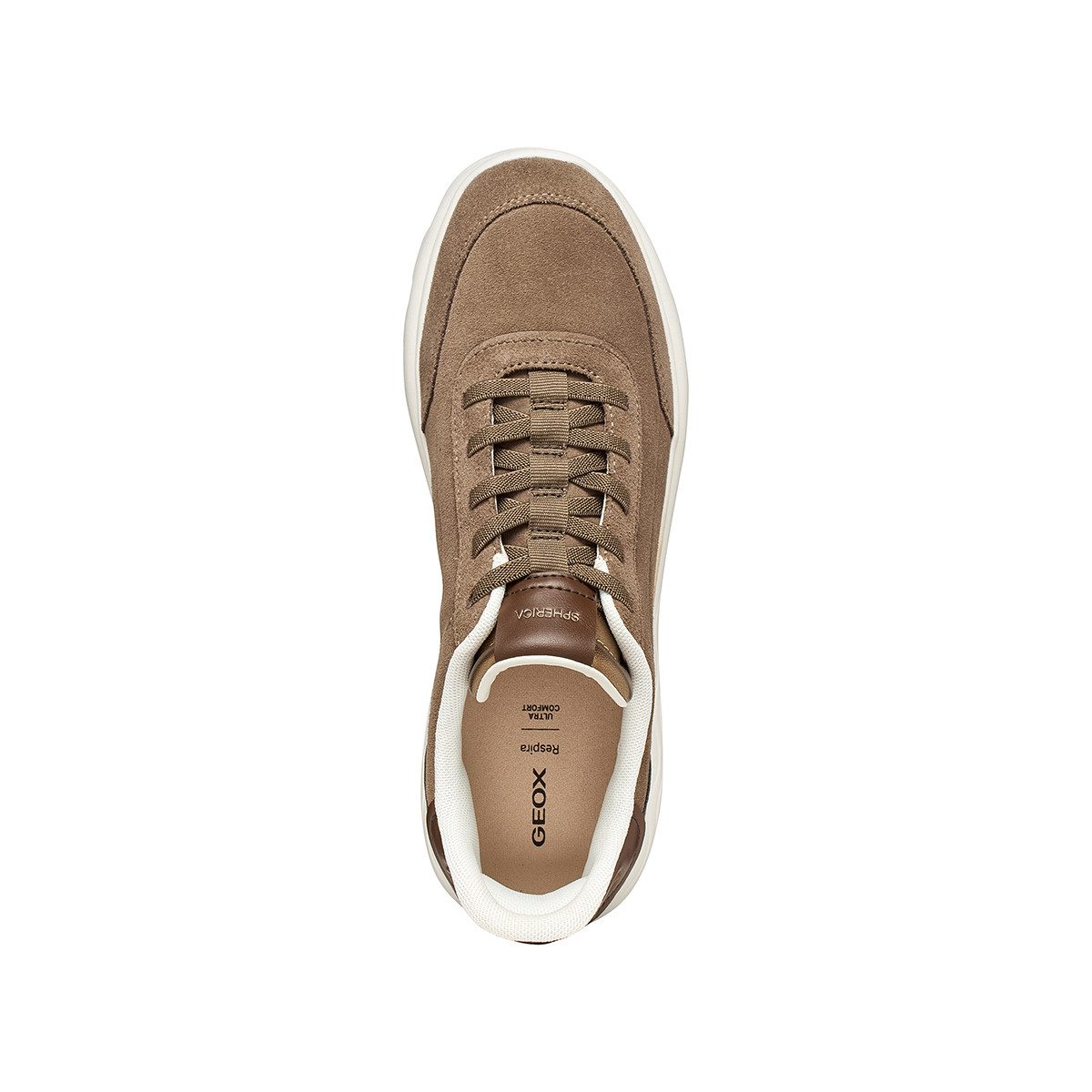 Geox GEOX SPHERICA PLUS, Sneaker, Braun, Damen Sneaker