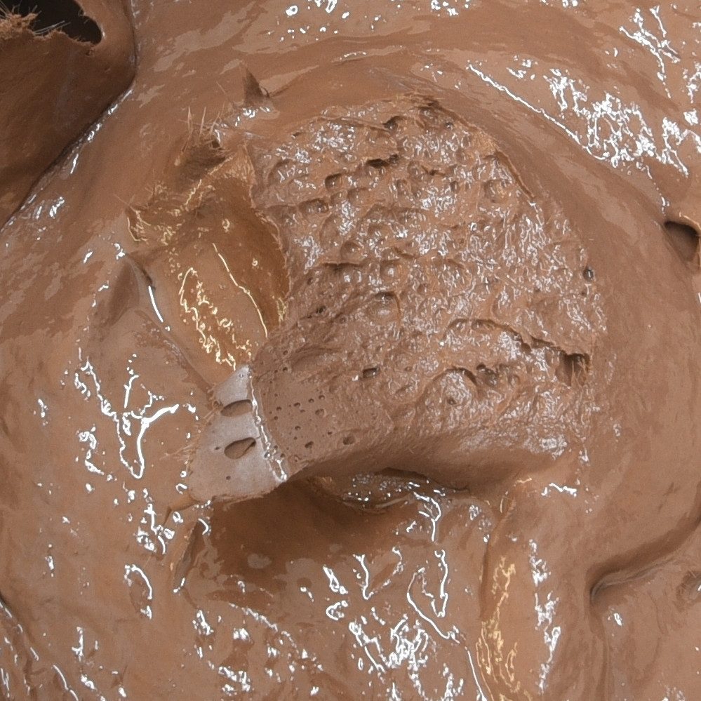 BORMA Fertigspachtel BIO Holzkitt 1 Kg, günstig online kaufen