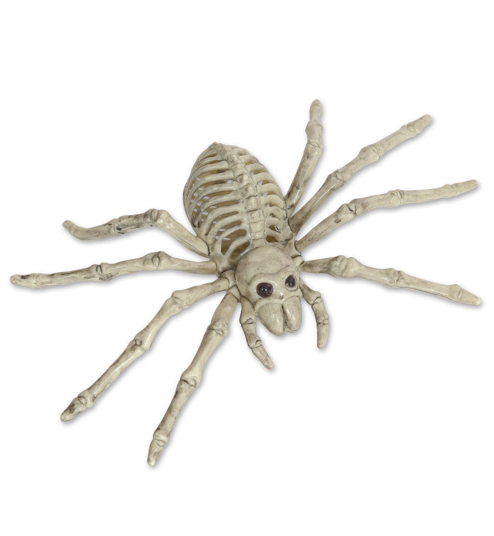 Fries Tierfigur XXL Deko Skelett Spinne günstig online kaufen