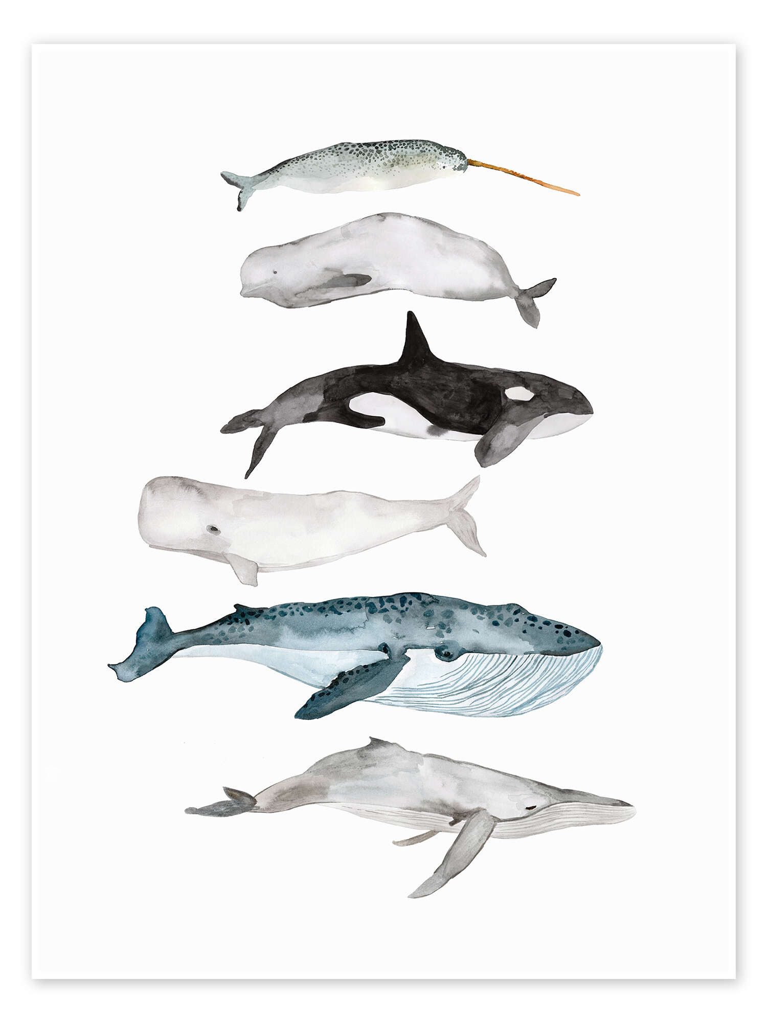 Posterlounge Wandbild Leben im Meer, Wale, Mantika Studio, erhältlich als Poster, Leinwandbild, Wandsticker oder Acrylglasbild