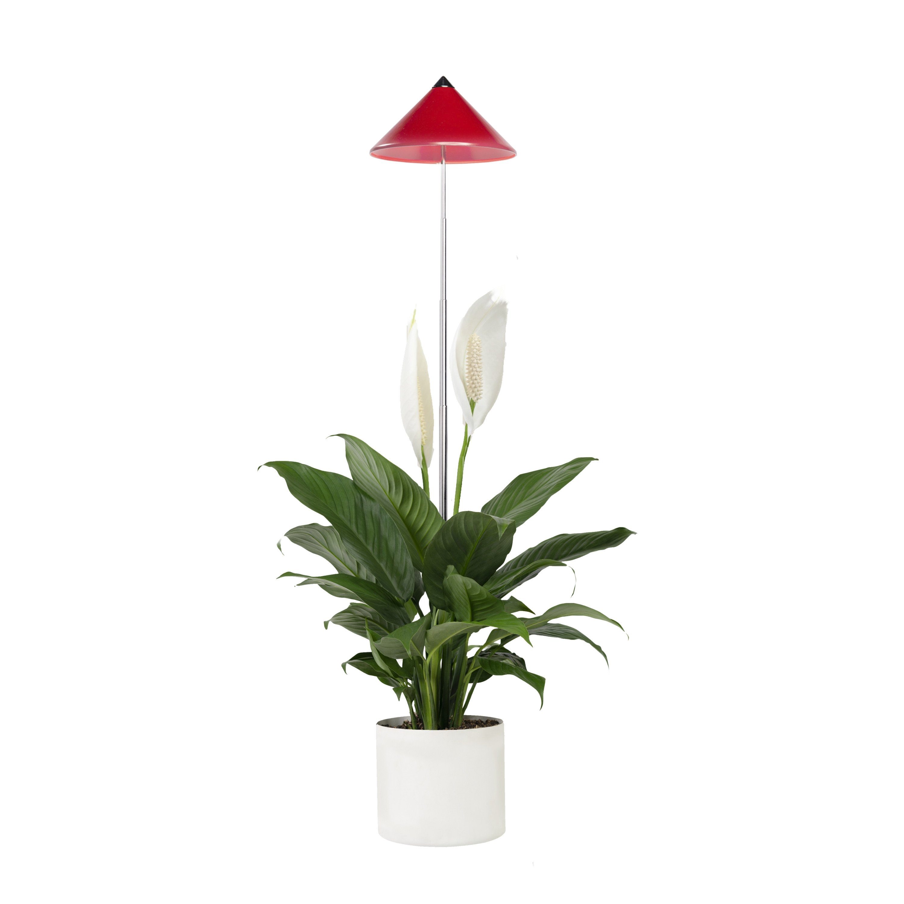PARUS Pflanzenlampe Indoor plants, Leuchtmittel für Pflanzen, Teleskopstab 1m, Parus by Venso SUNLiTE 7W LED Vollspektrum Pflanzenlampe Rot, Indoor P