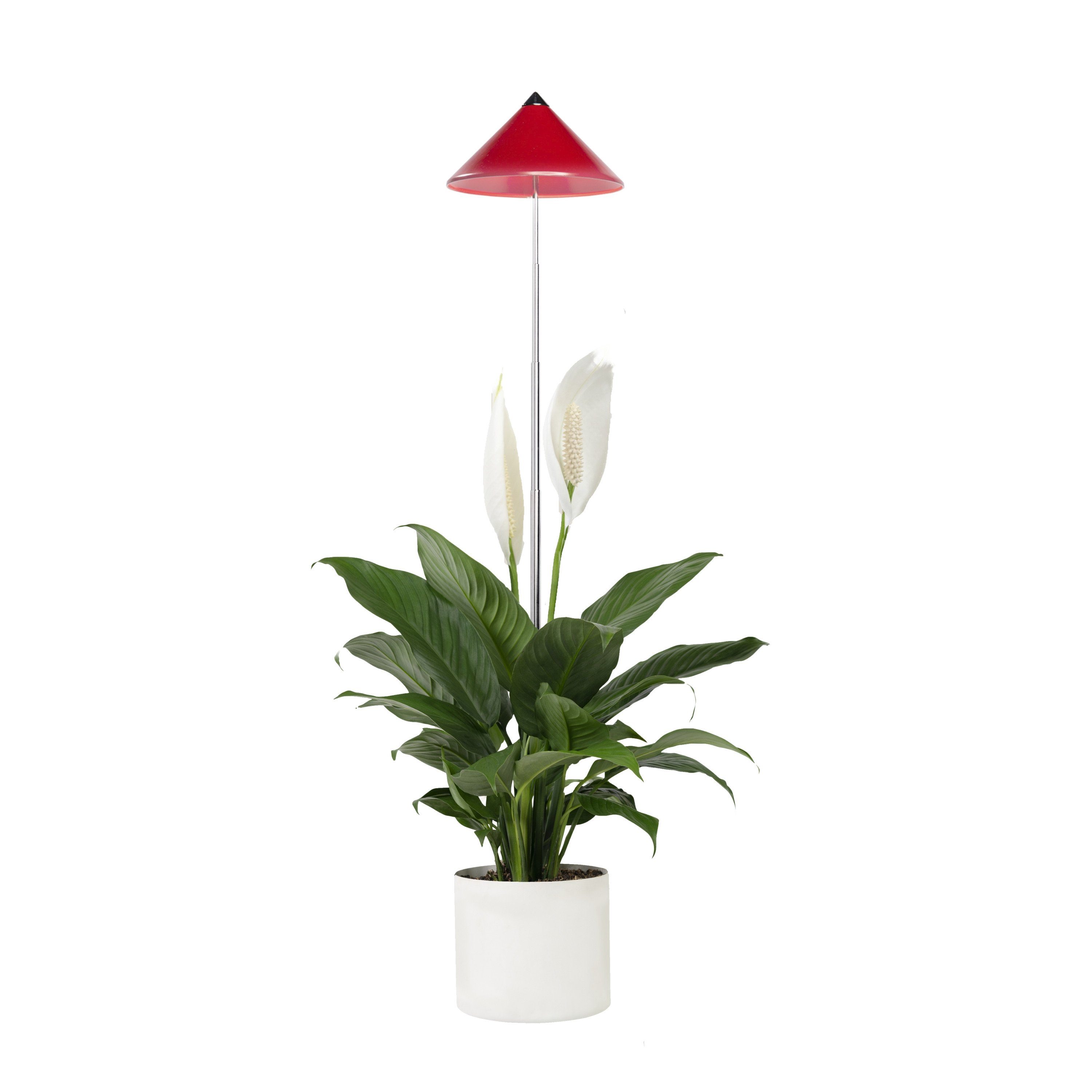 Parus by Venso Pflanzenlampe Indoor plants, Leuchtmittel für Pflanzen,  Teleskopstab 1m, SUNLiTE Pflanzenlampe 7W Rot