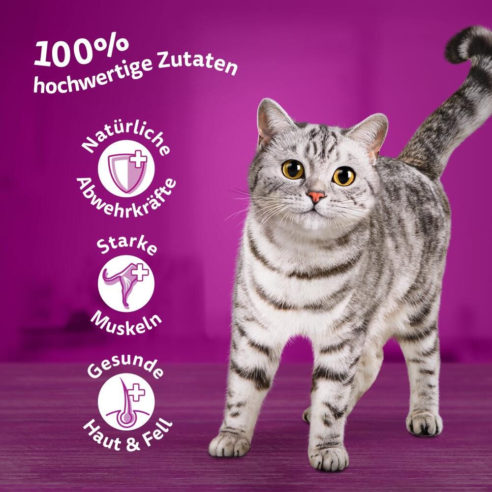 Whiskas WHISKAS® Portionsbeutel Multipack 1+ Fisch Auswahl in Gelee 40 x 85g, Nassfutter für: Katze