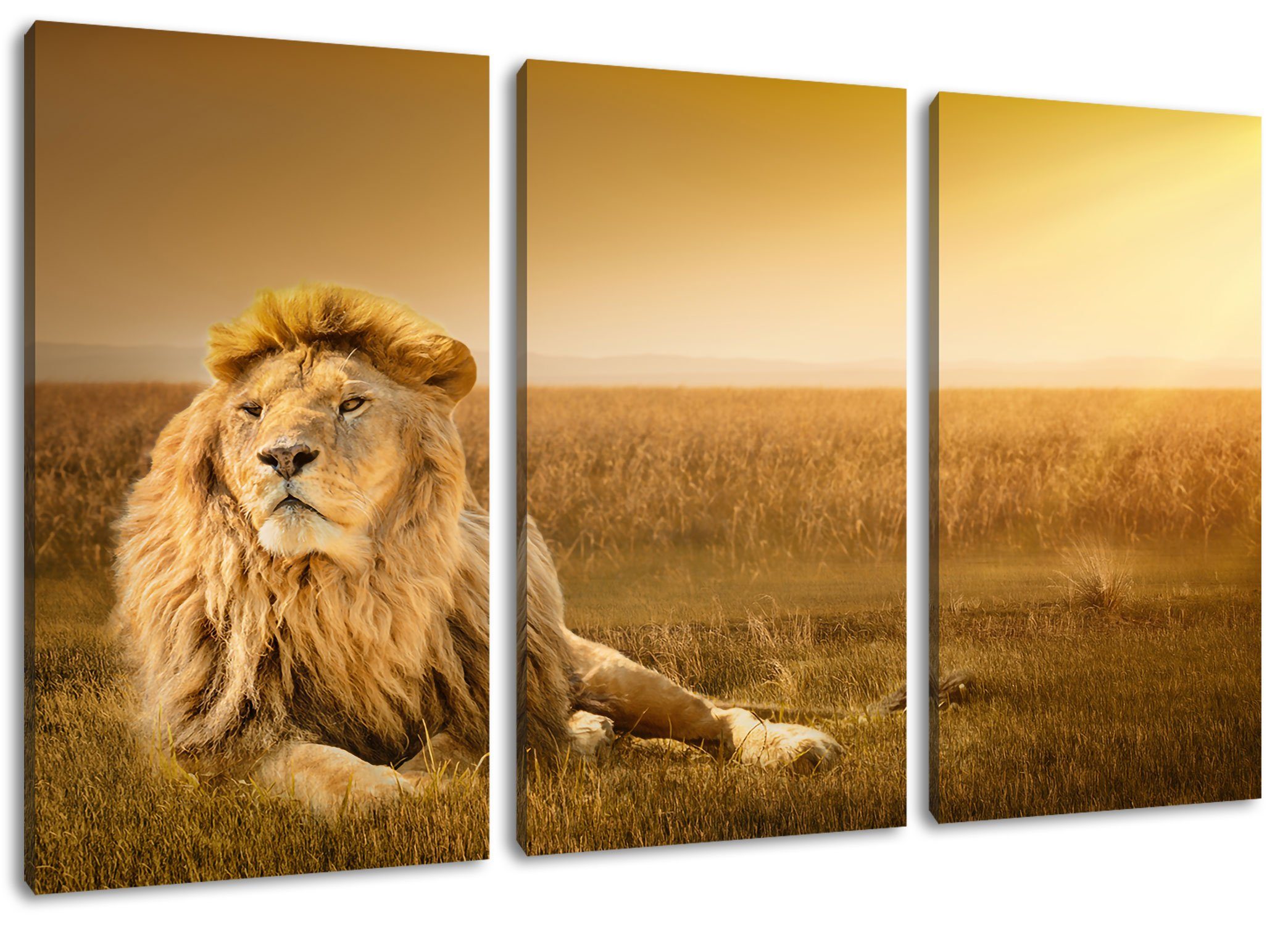 Pixxprint Leinwandbild Majestätischer Löwe, Majestätischer Löwe 3Teiler (120x80cm) (1 St), Leinwandbild fertig bespannt, inkl. Zackenaufhänger