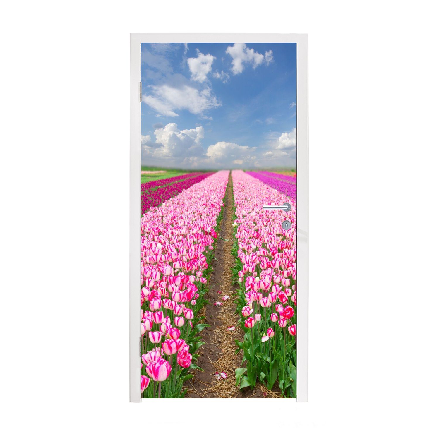 MuchoWow Türtapete Tulpen - Sonne - Frühling, Matt, bedruckt, (1 St), Fototapete für Tür, Türaufkleber, 75x205 cm