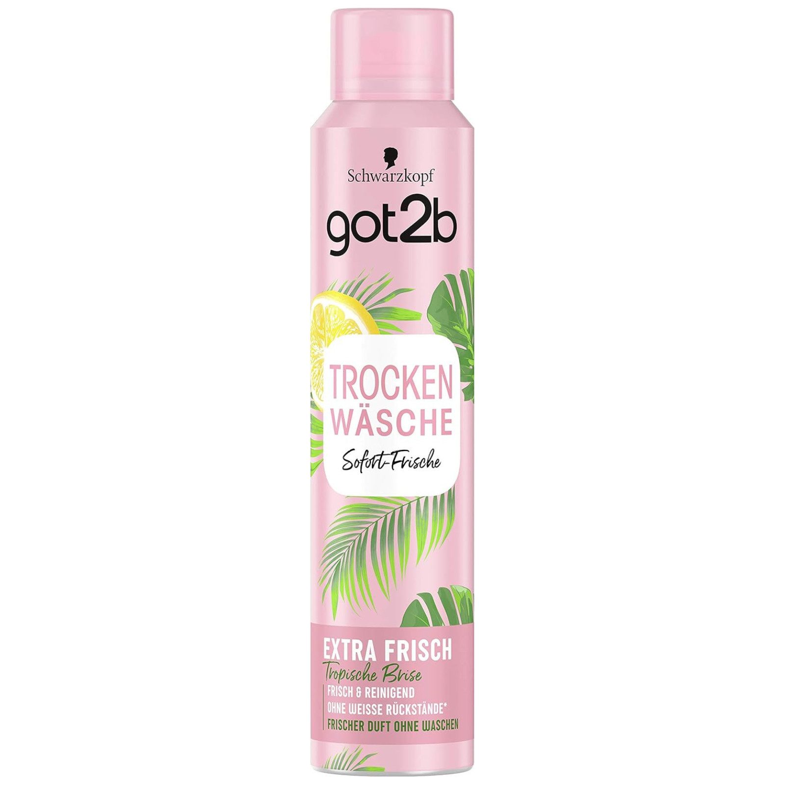 Haarshampoo Schwarzkopf got2b Trockenshampo Trocken Wäsche 200ml Dry Shampoo mit T