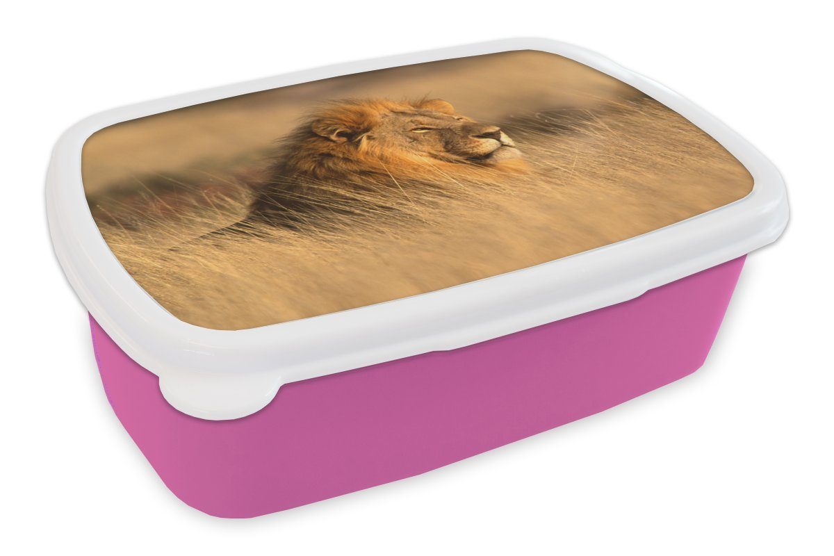 MuchoWow Lunchbox Wilde Tiere - Gras - Afrika, Kunststoff, (2-tlg), Brotbox für Erwachsene, Brotdose Kinder, Snackbox, Mädchen, Kunststoff rosa