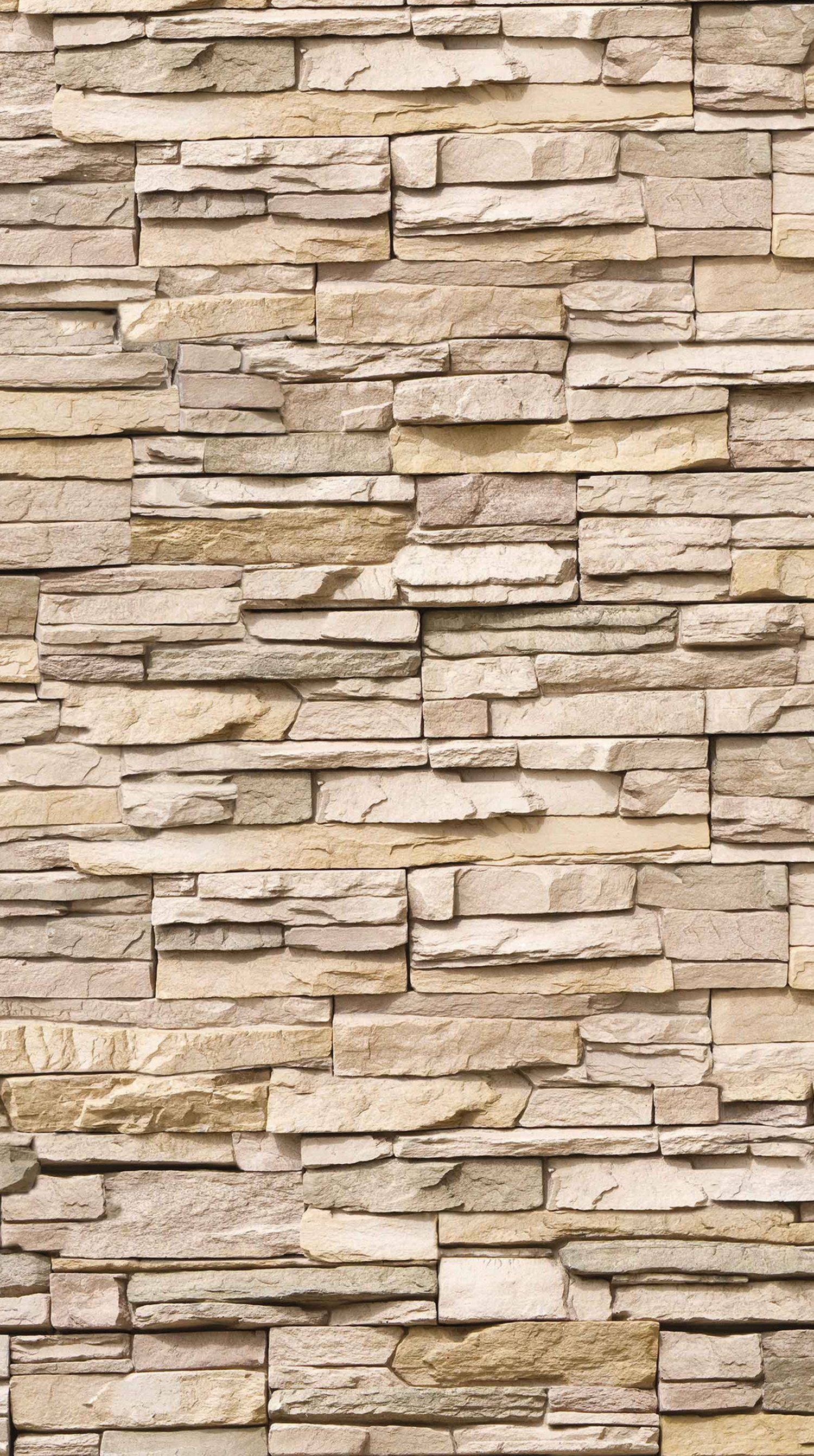 Schulte Badrückwand DecoDesign Dekor, (1-tlg), 100x210 günstig online kaufen