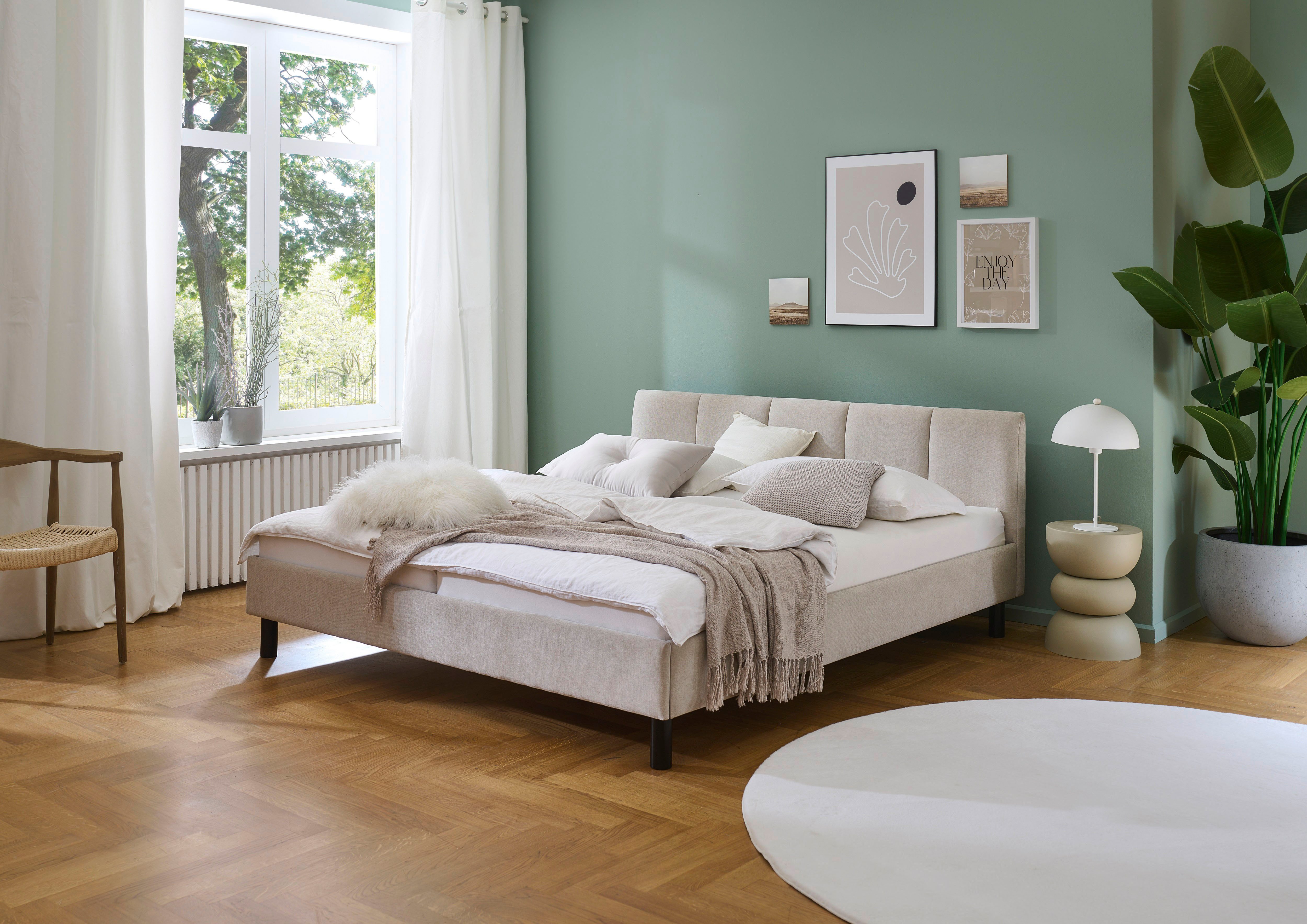 meise.möbel Polsterbett Joker, in verschiedenen Breiten und Farben erhältlich, wahlweise mit schwarzem oder eichefarbigem Holzfuß