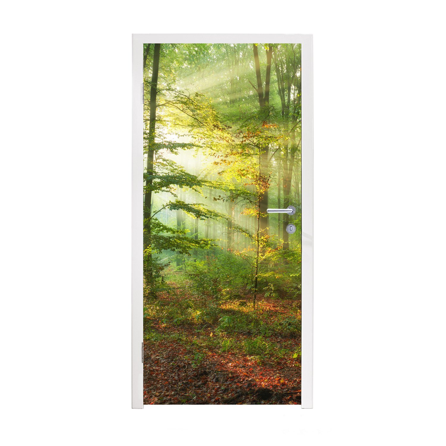 Fototapete (1 Bäume - MuchoWow Matt, Wald St), - - Türtapete 75x205 cm bedruckt, Herbst, - Natur Sonne Tür, für Türaufkleber,