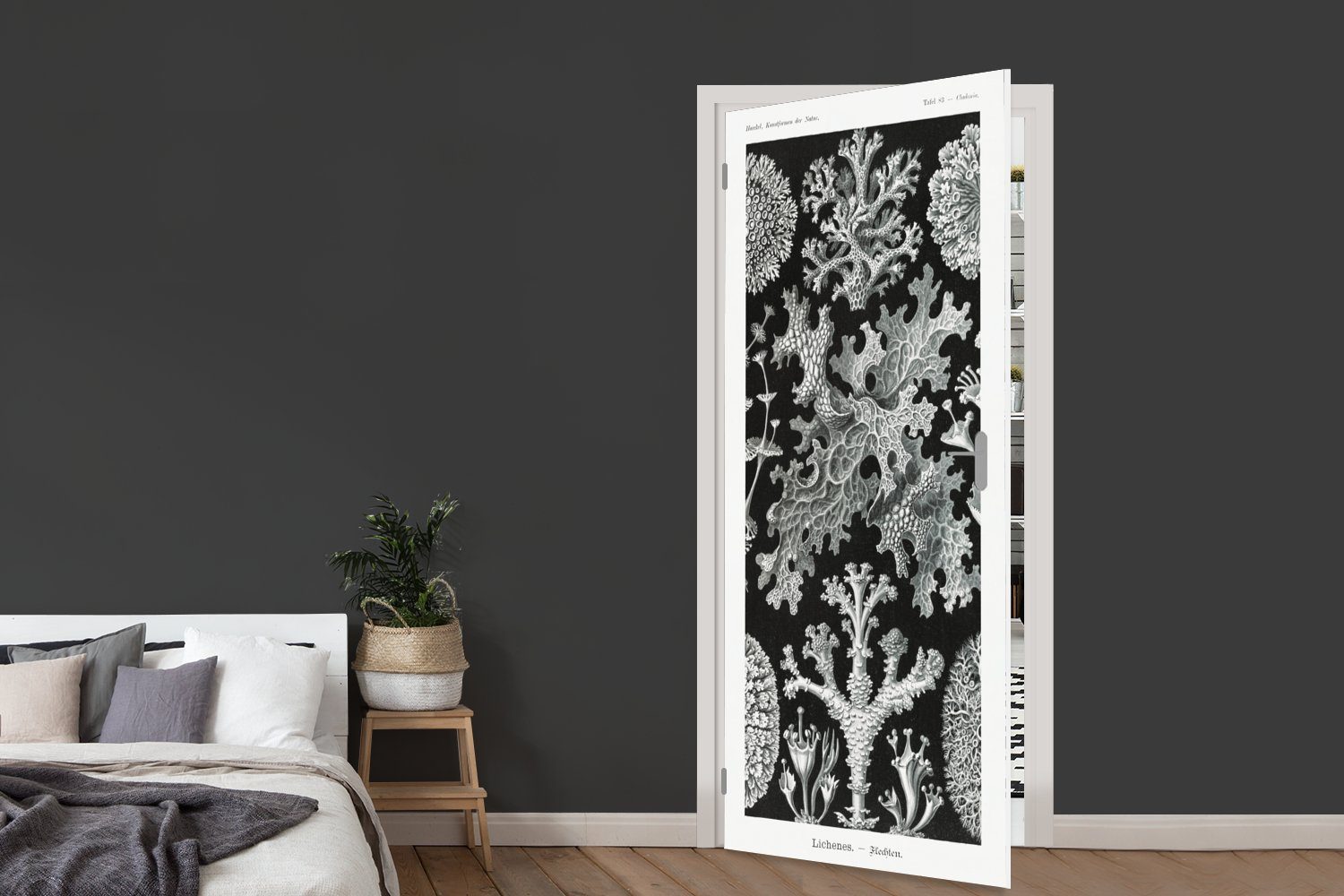 Tür, für Meister bedruckt, cm St), Türaufkleber, Haeckel (1 - Türtapete - Fototapete Natur, Ernst Matt, Koralle MuchoWow - - Alte Kunst 75x205