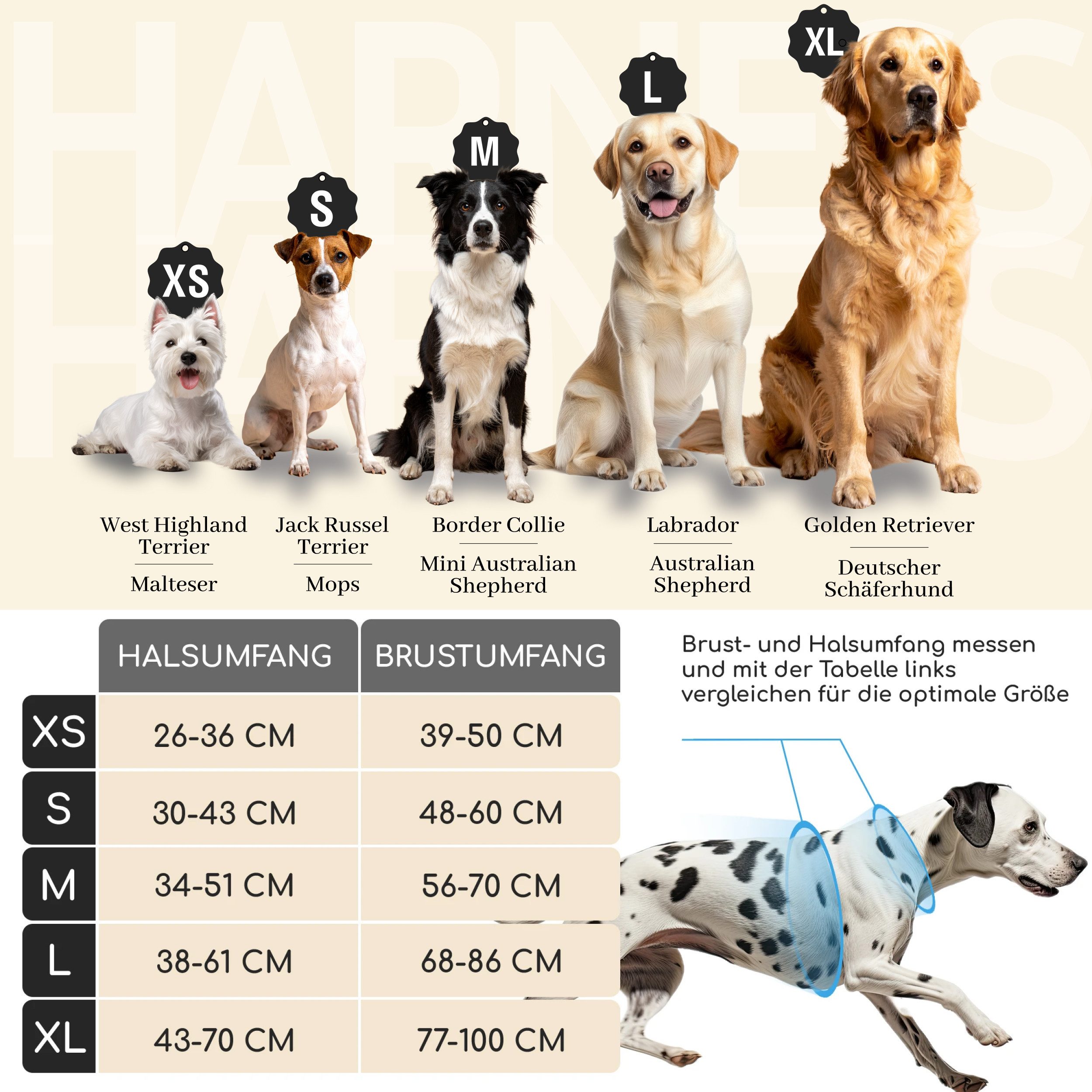 Freudentier Hunde-Geschirr mit Mesh-Polsterung, Hundegeschirr grosse Hunde & mittlere Hunde