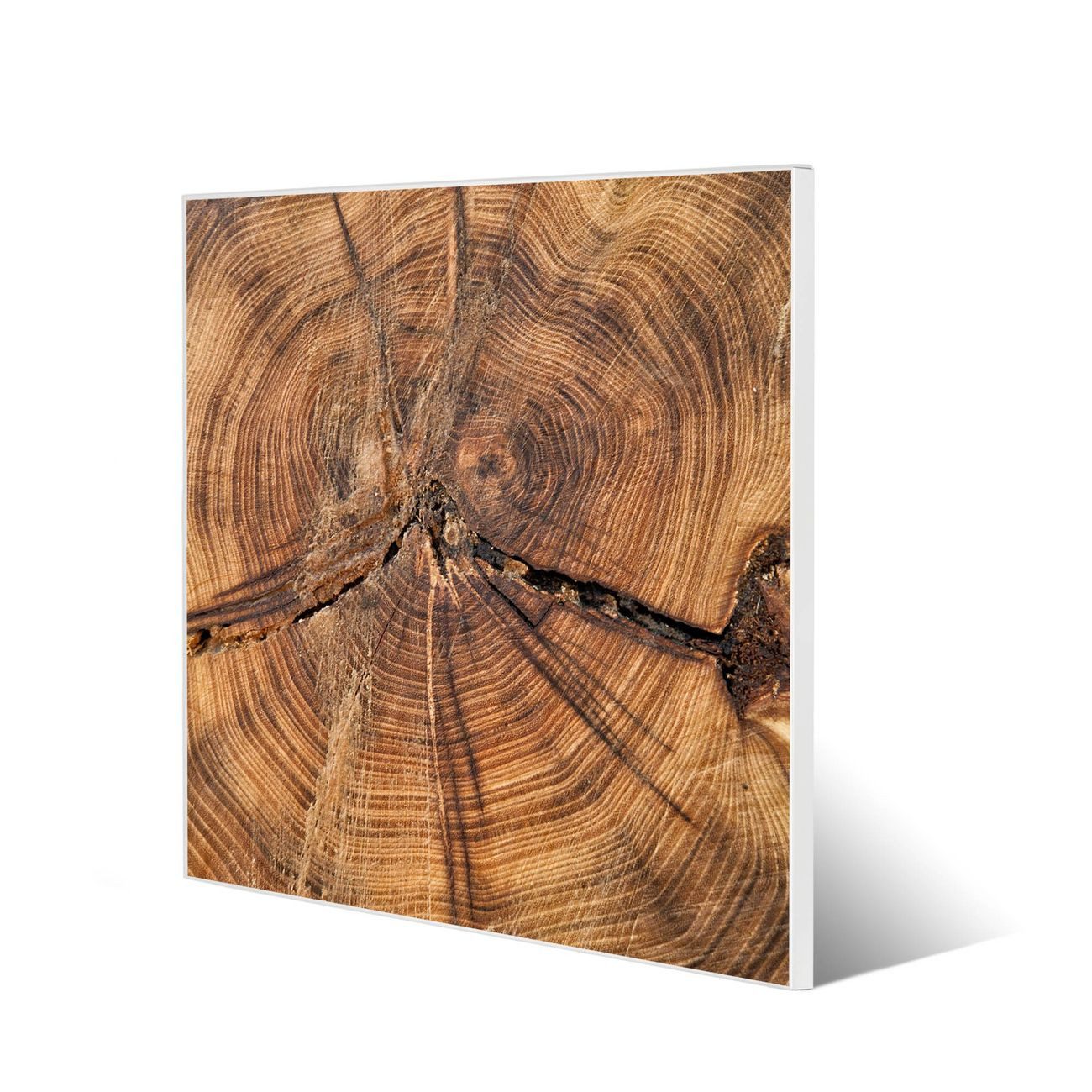 banjado Magnettafel Stahl Quadratisch Jahresringe, (inkl. 4 Magnete, Quadratische Stahlmagnettafel)