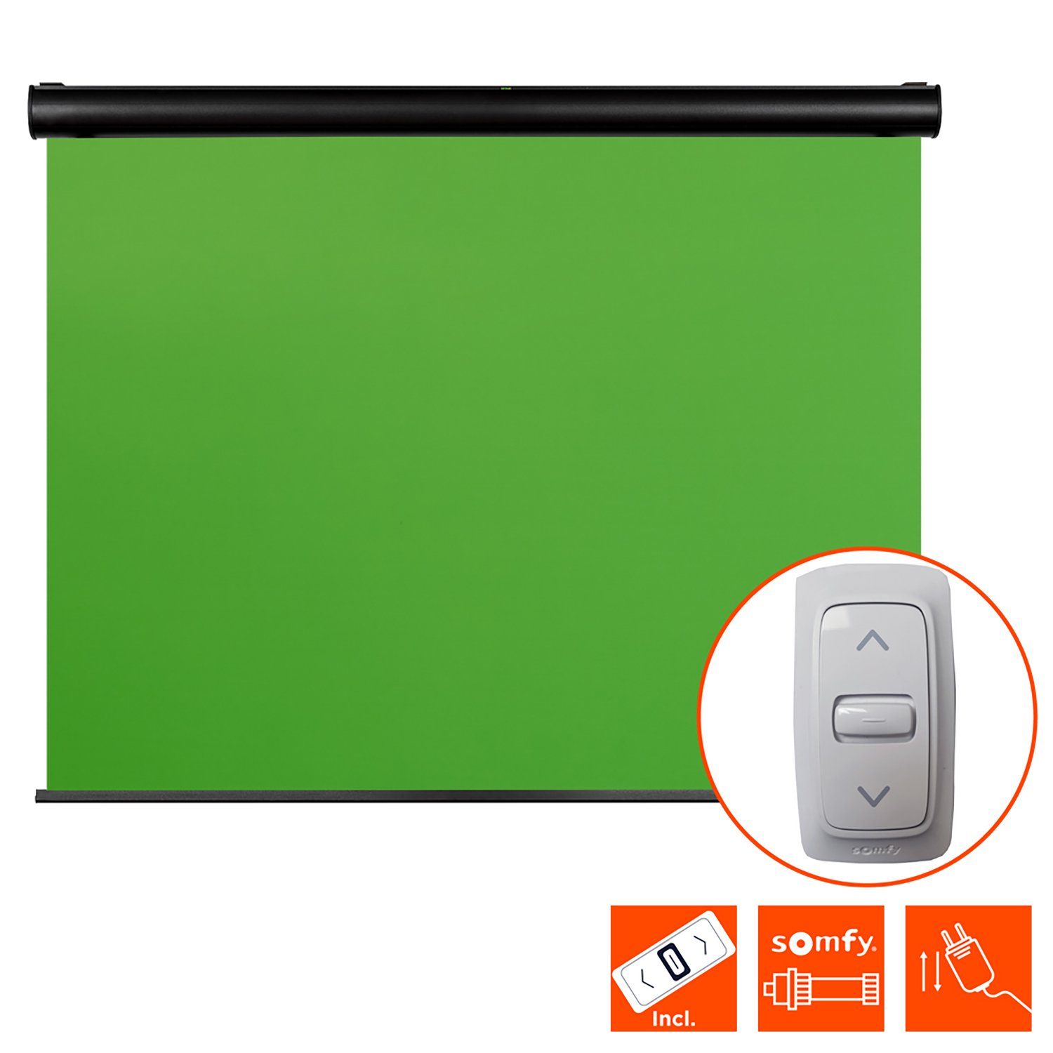 Celexon Chroma Key Green Screen Motorleinwand