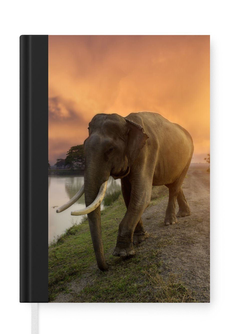 MuchoWow Notizbuch Elefant - Wasser - Tiere - Sonnenuntergang - Natur, Journal, Merkzettel, Tagebuch, Notizheft, A5, 98 Seiten, Haushaltsbuch