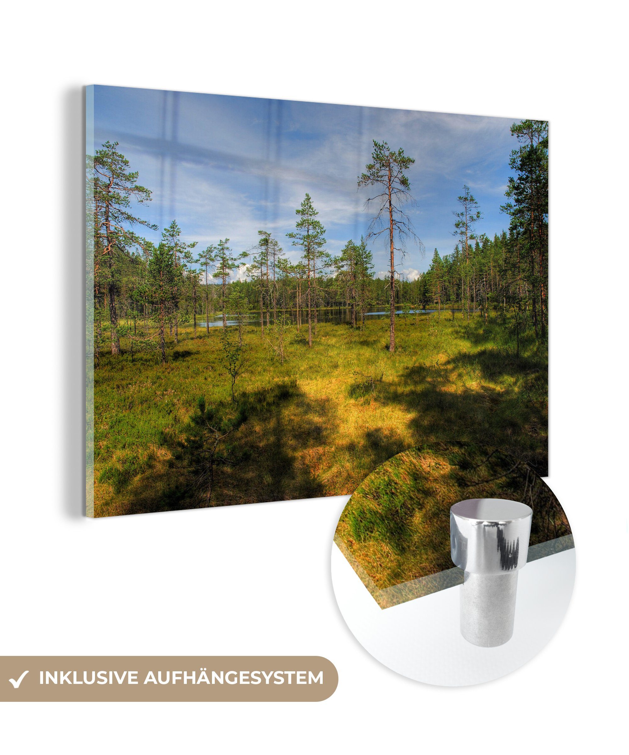 in Acrylglasbilder & Bäume (1 den Wohnzimmer des Mooren MuchoWow Schlafzimmer Hohe Schweden, Skuleskogen-Nationalparks in Acrylglasbild St),