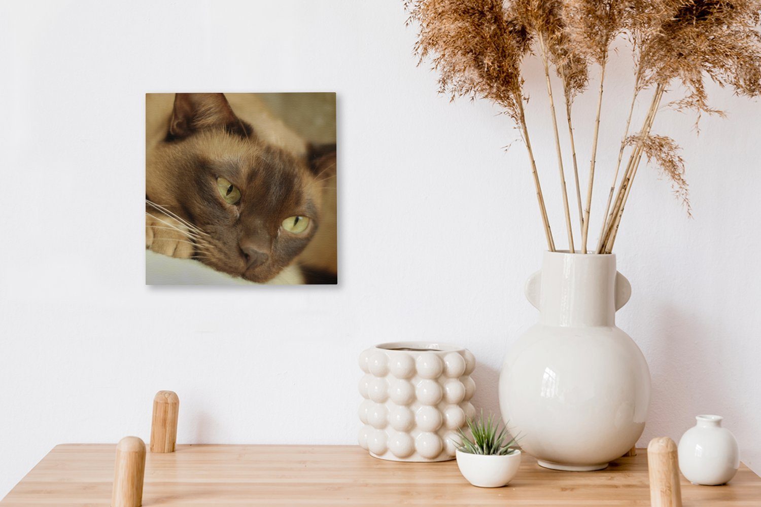 Bilder burmesische Schlafzimmer Wohnzimmer St), Braun (1 Leinwandbild gefärbte OneMillionCanvasses® Katze, für Leinwand