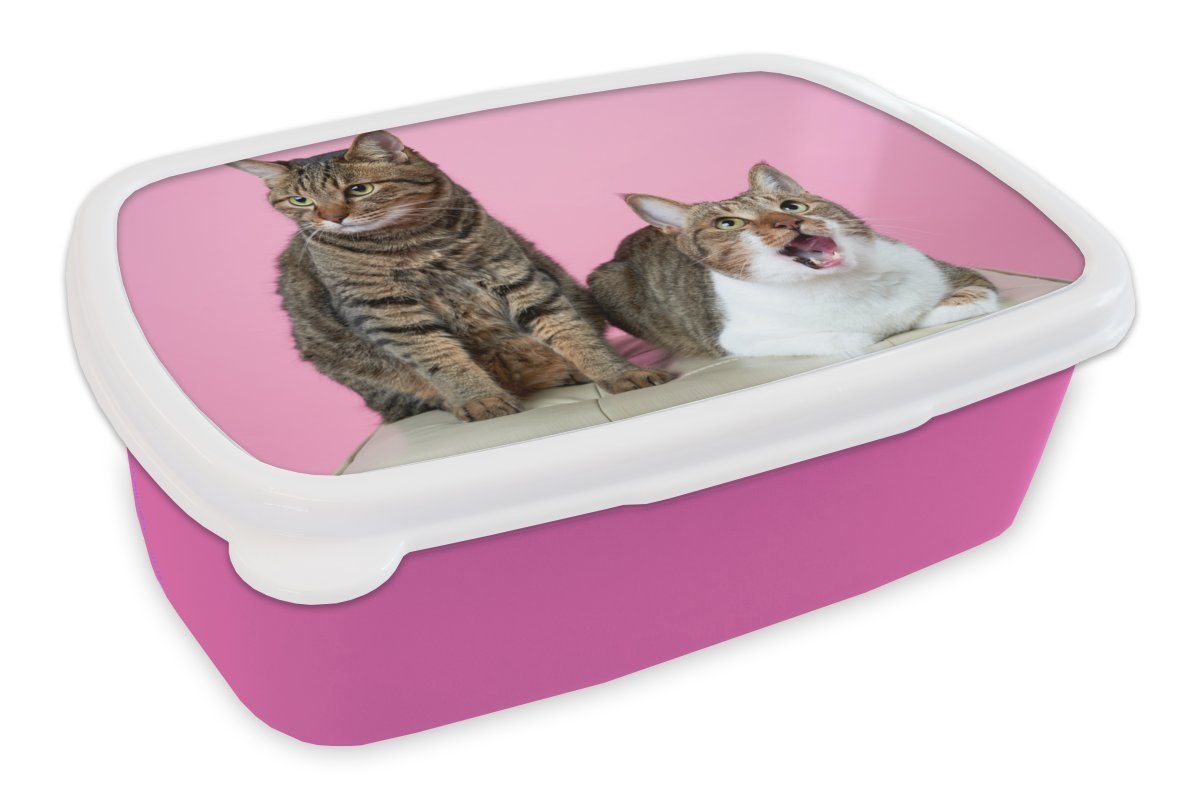 MuchoWow Lunchbox Katze - Rosa - Pouf - Mädchen - Kinder - Kinder, Kunststoff, (2-tlg), Brotbox für Erwachsene, Brotdose Kinder, Snackbox, Mädchen, Kunststoff