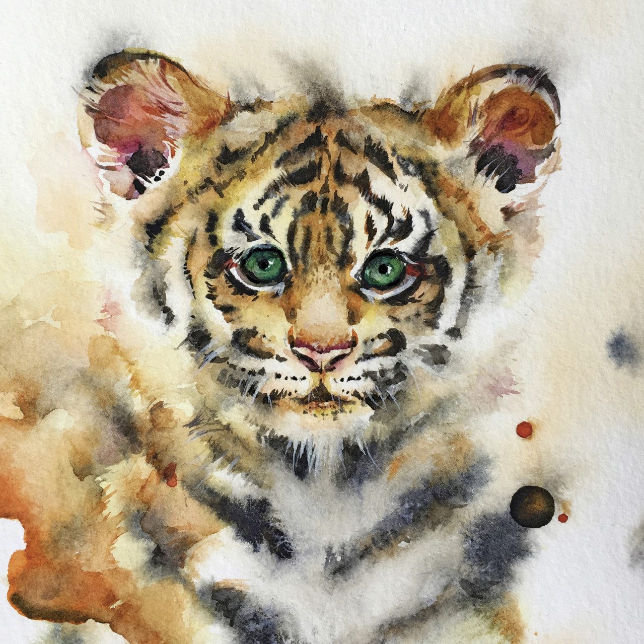 The Wall - the art of framing AG Wandbild Keilrahmenbild Löwe 30 x 30 cm, Tiere