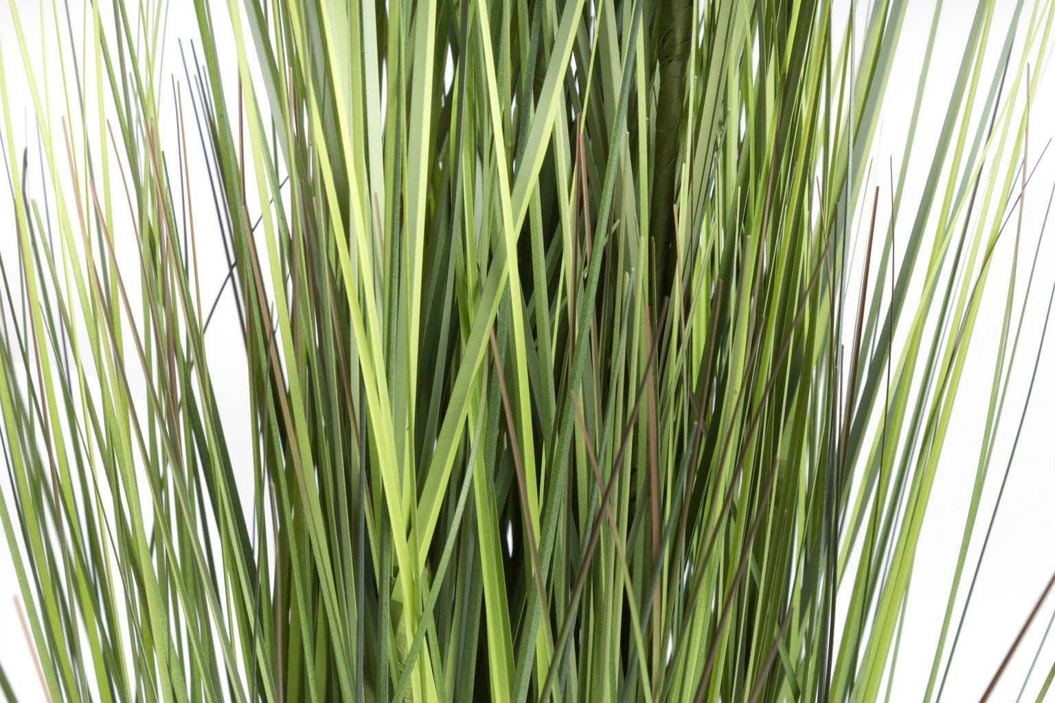 Kunstgras Gras Festuca Gras, Botanic-Haus, Höhe 115 cm günstig online kaufen