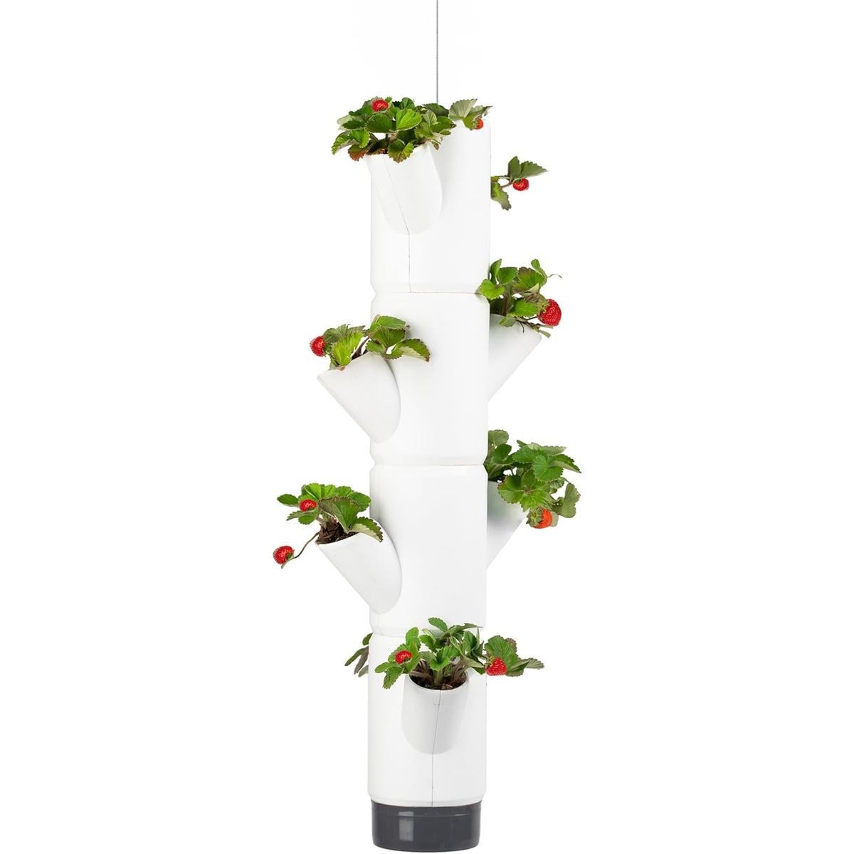 Gusta Garden Hochbeet SISSI STRAWBERRY hanging (inkl. Wasserauslaufschutz & Wasserleitsystem), Hängender Erdbeerbaum mit 4 Etagen, weiß