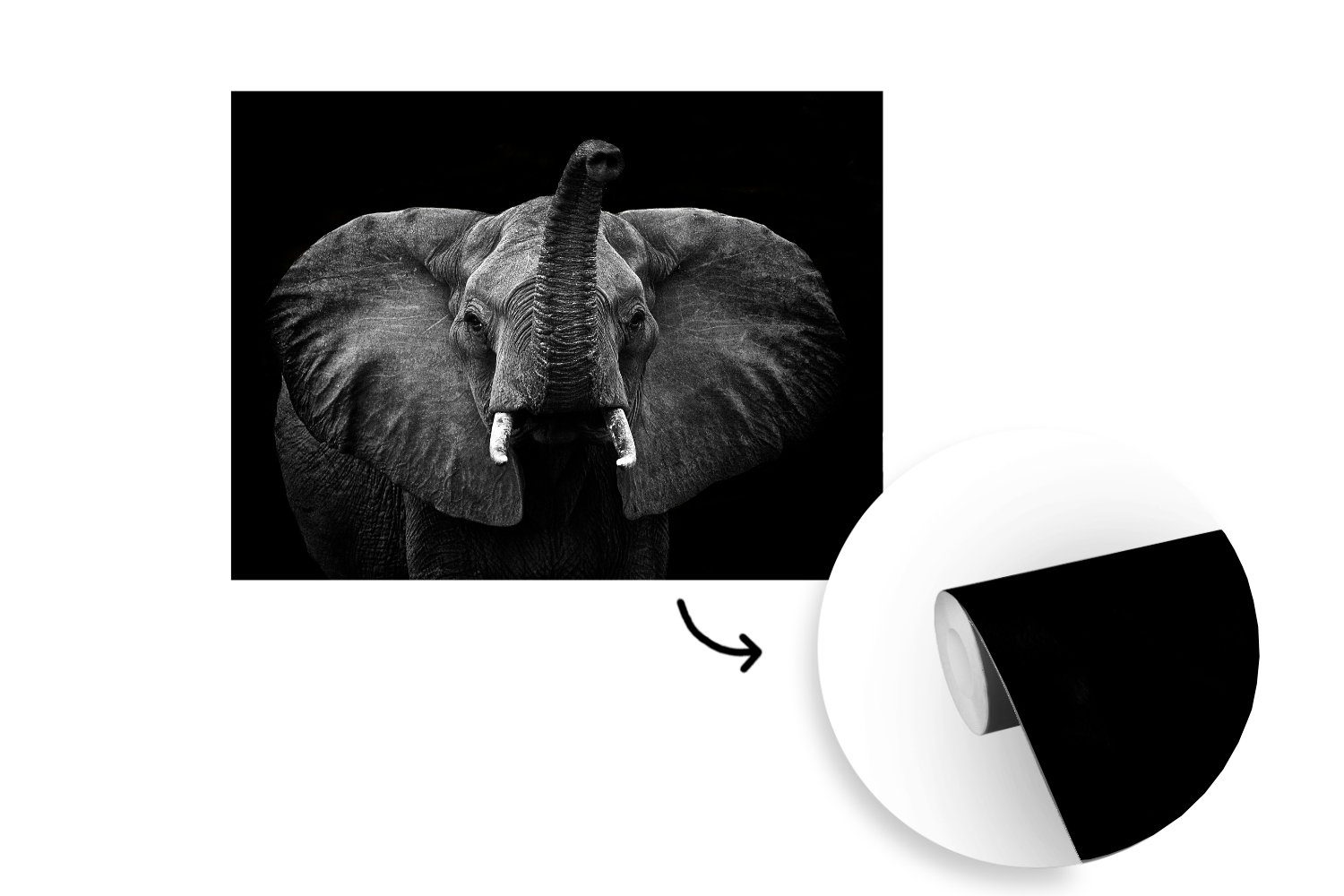 bedruckt, (6 Schwarz St), für Wohnzimmer, Wallpaper Tapete Weiß, Kinderzimmer, Schlafzimmer, Fototapete Vinyl Ohren - MuchoWow - Elefant Matt, -