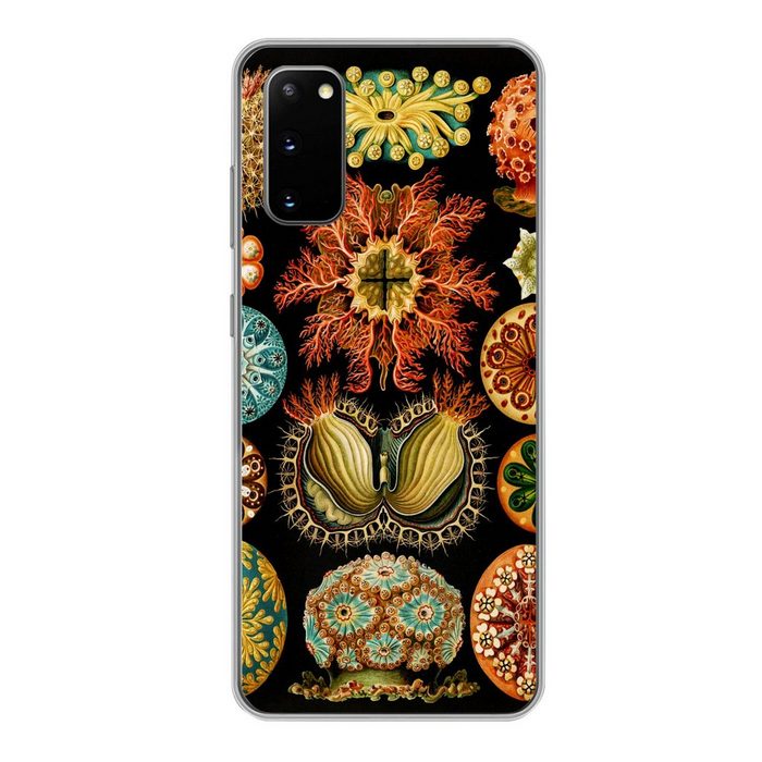 MuchoWow Handyhülle Vintage - Ernst Haeckel - Meerestier - Natur - Meer - Kunst Phone Case Handyhülle Samsung Galaxy S20 Silikon Schutzhülle