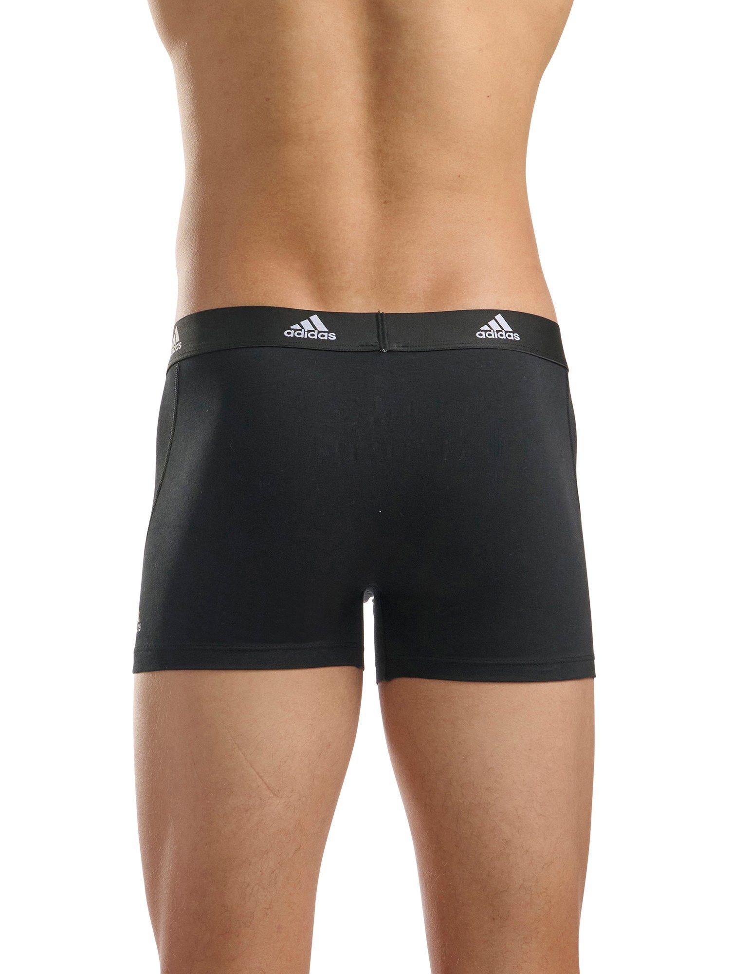 adidas Sportswear BASIC herren männer grün-schwarz (3-St) Trunk unterhose