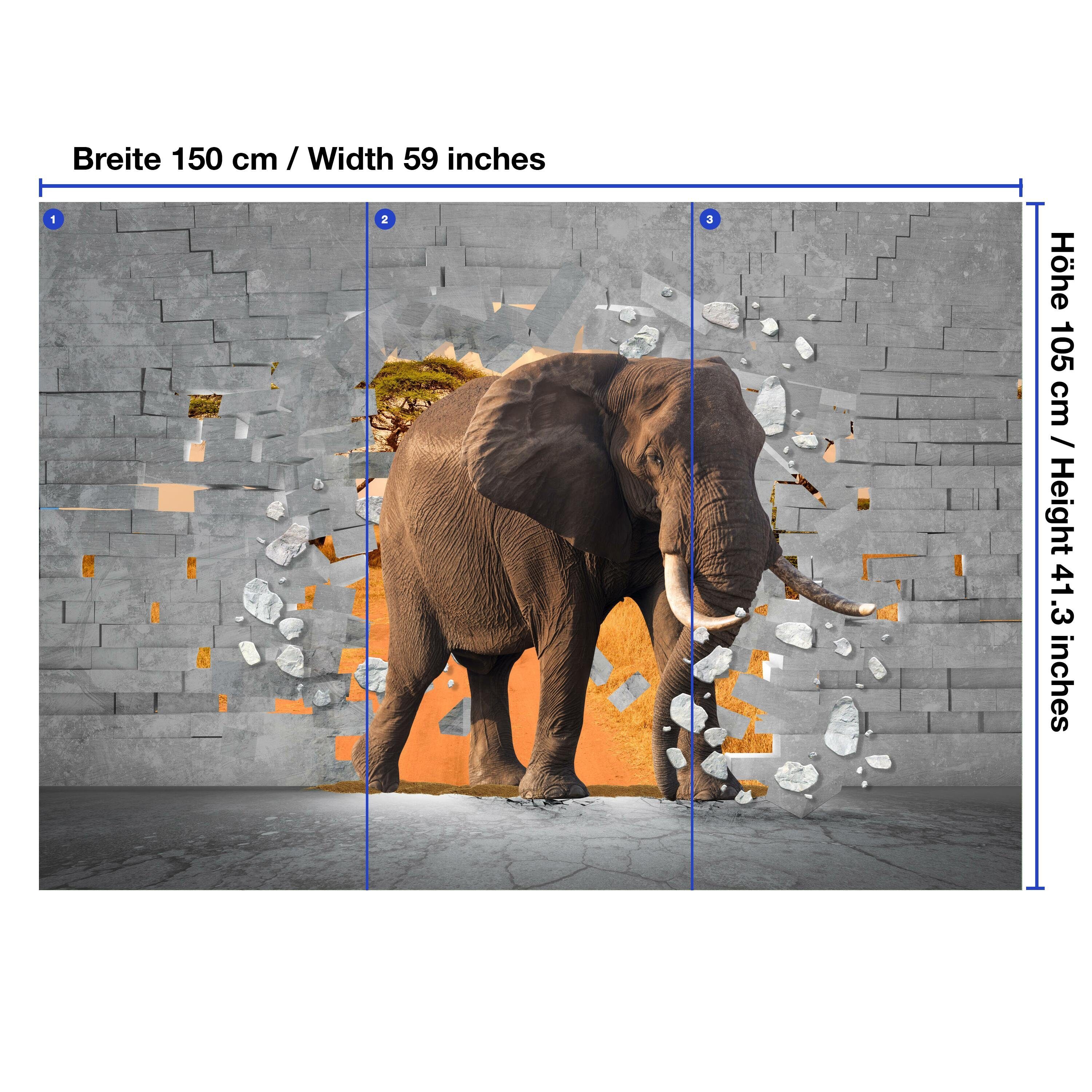 wandmotiv24 Optik Wandtapete, Motivtapete, Vliestapete Fototapete Elefant 3D Wanddurchbruch, glatt, matt,