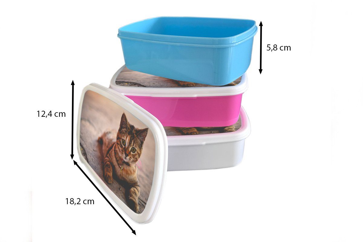 für weiß Halsband, für Brotdose, (2-tlg), Jungs Mädchen Erwachsene, Lunchbox Kleid und Brotbox Kinder MuchoWow - und Kunststoff, - Katze