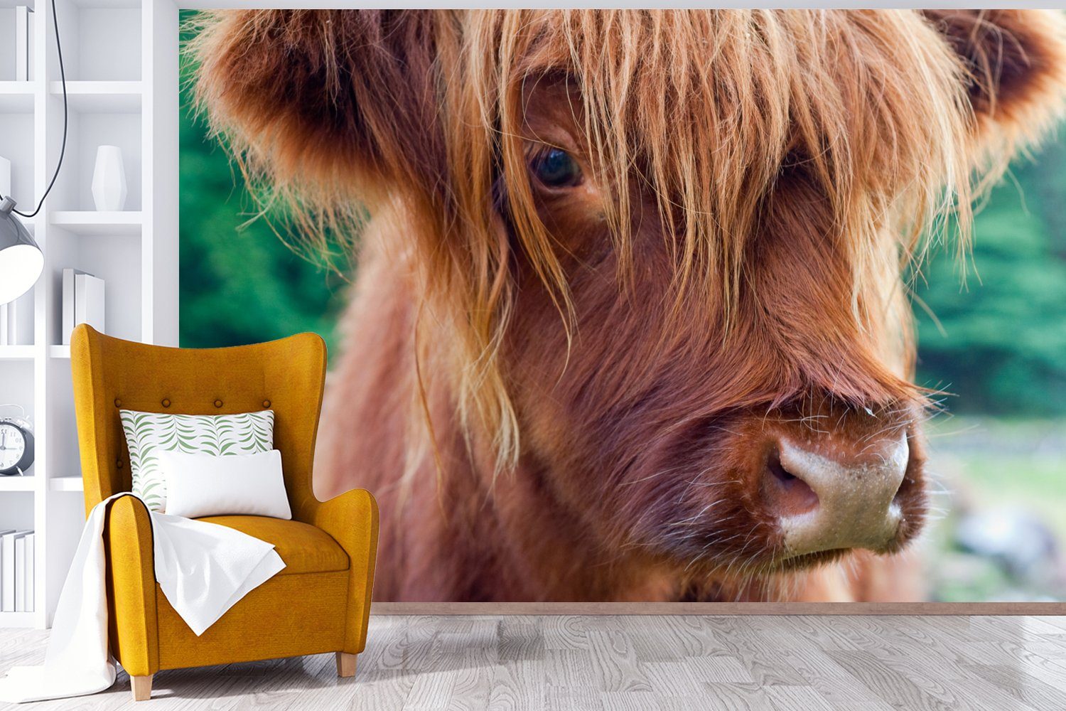 Braun Kinderzimmer, - MuchoWow Tapete Schottischer Highlander Wallpaper St), Matt, Kalb, Fototapete (6 bedruckt, - Vinyl Schlafzimmer, Wohnzimmer, für