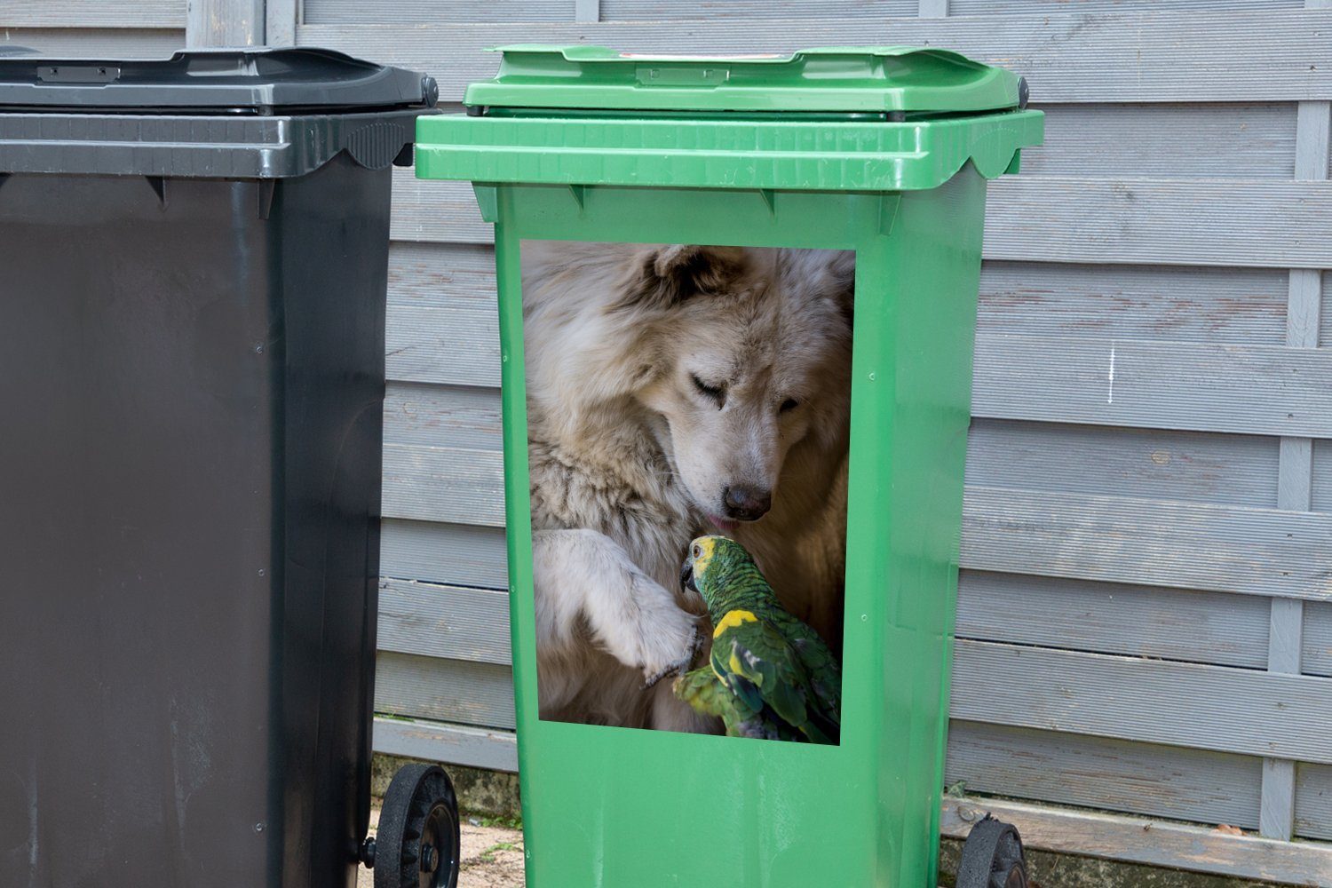 (1 Papagei MuchoWow Hund St), Mülltonne, Wandsticker Mülleimer-aufkleber, Abfalbehälter - Tiere - Container, Sticker,