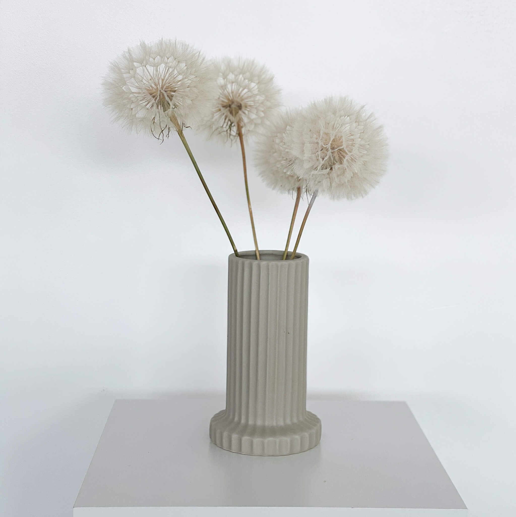 Trockenblume Pusteblume getrocknet einzeln, LYKKE & günstig online kaufen