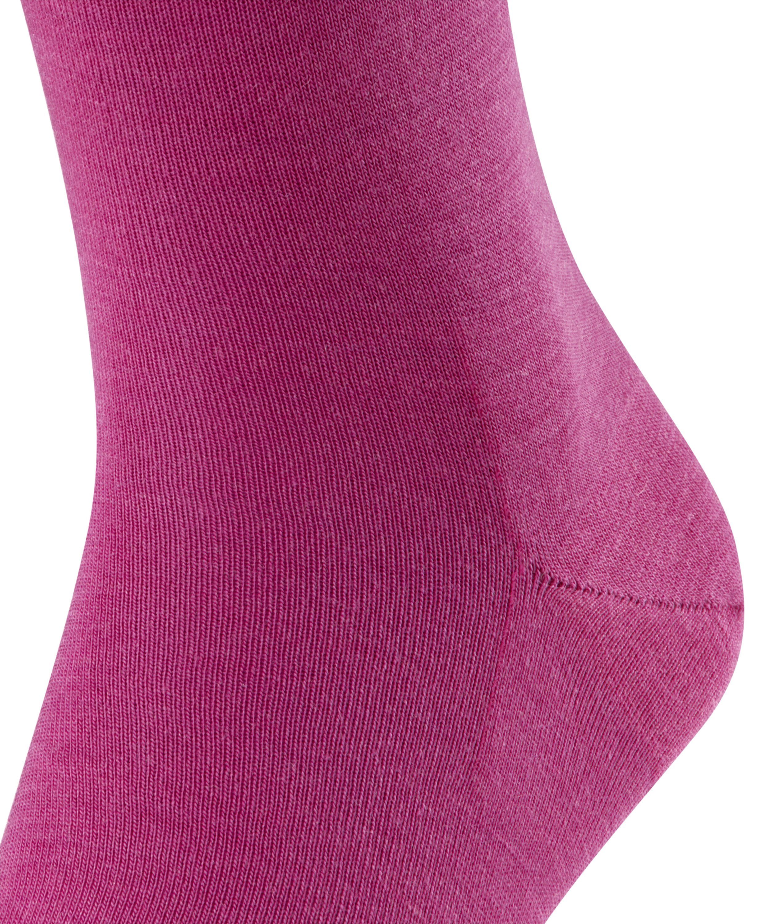arctic (8233) FALKE Airport pink (1-Paar) Socken