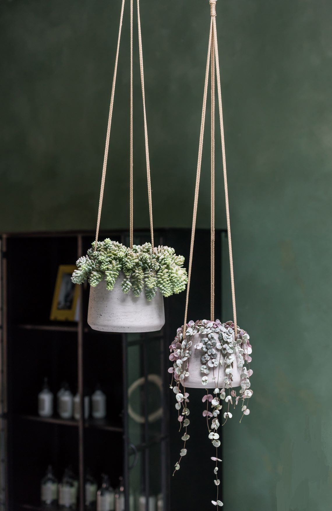 finestgreen Blumenampel Hanging Patt, Frostfest & UV-beständig – für Innen- und Außenbereich