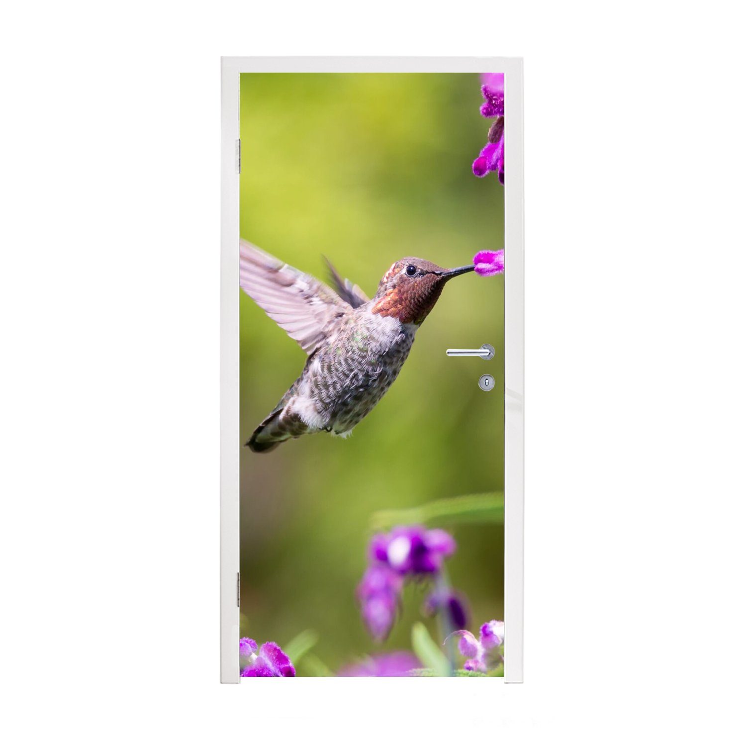 MuchoWow Türtapete Kolibri - Vogel - Natur, Matt, bedruckt, (1 St), Fototapete für Tür, Türaufkleber, 75x205 cm