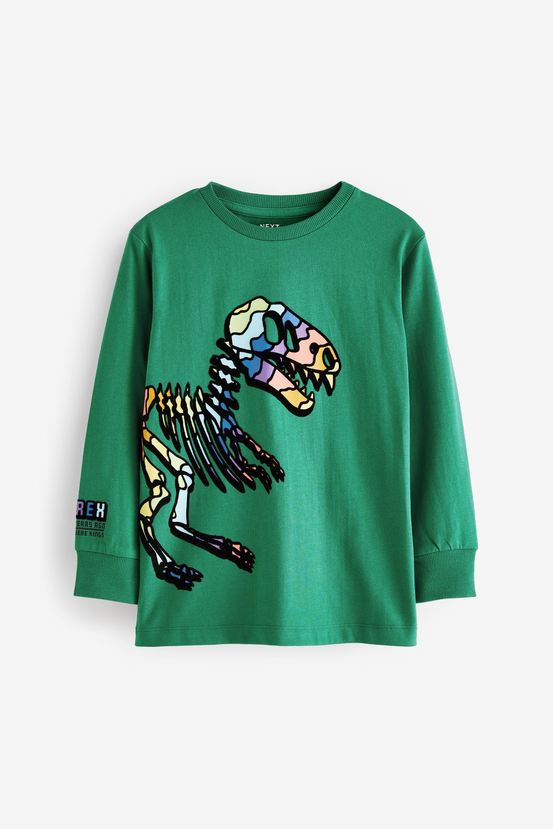 Next Langarmshirt Langärmeliges Grafik-T-Shirt (1-tlg) Green Rainbow Dinosaur Skeleton