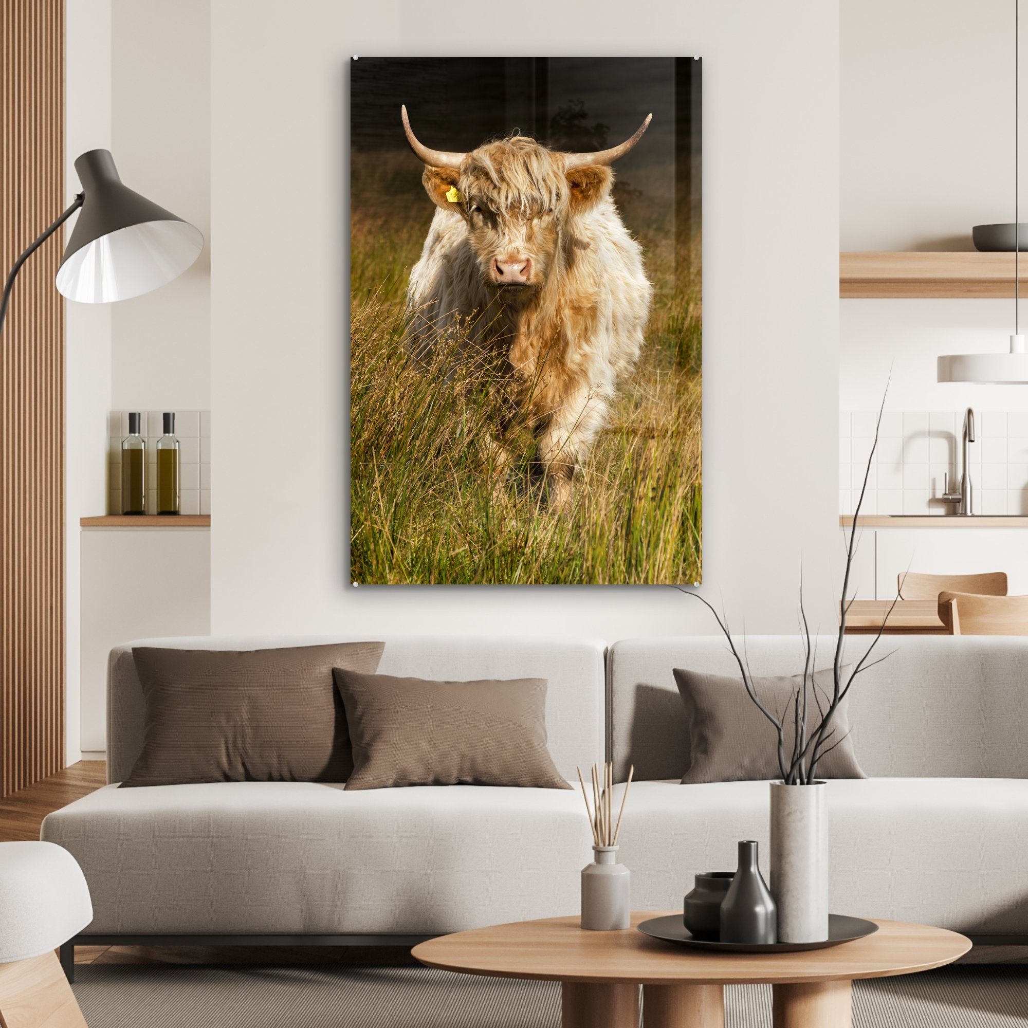 Tiere, St), - Highlander Dekoration Schottische wohnzimmer Glas, MuchoWow - - Acrylglasbild Gemälde auf (1 Gras bunt Licht