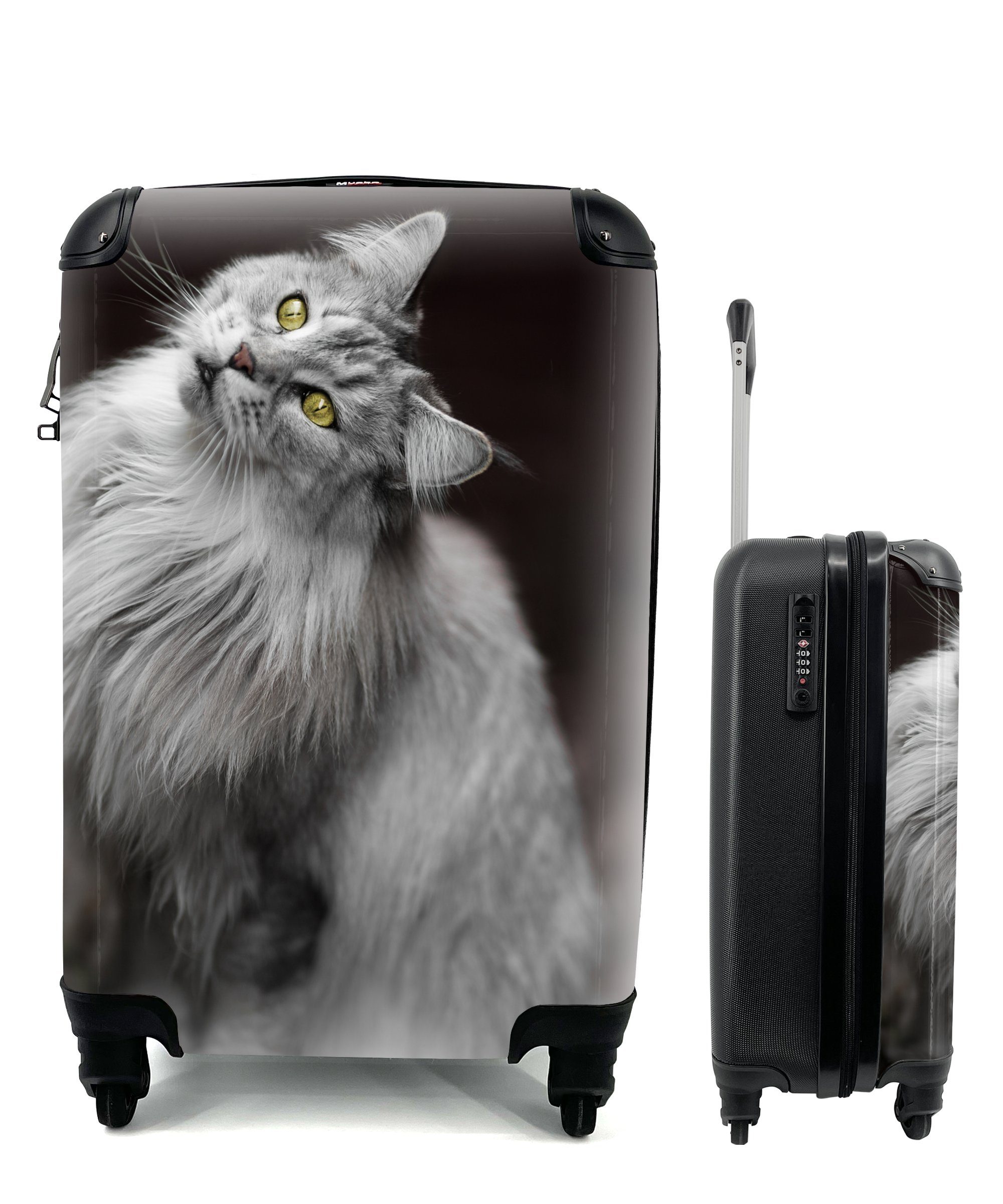 MuchoWow Handgepäckkoffer Weiße und graue Maine Coon Katze, 4 Rollen, Reisetasche mit rollen, Handgepäck für Ferien, Trolley, Reisekoffer