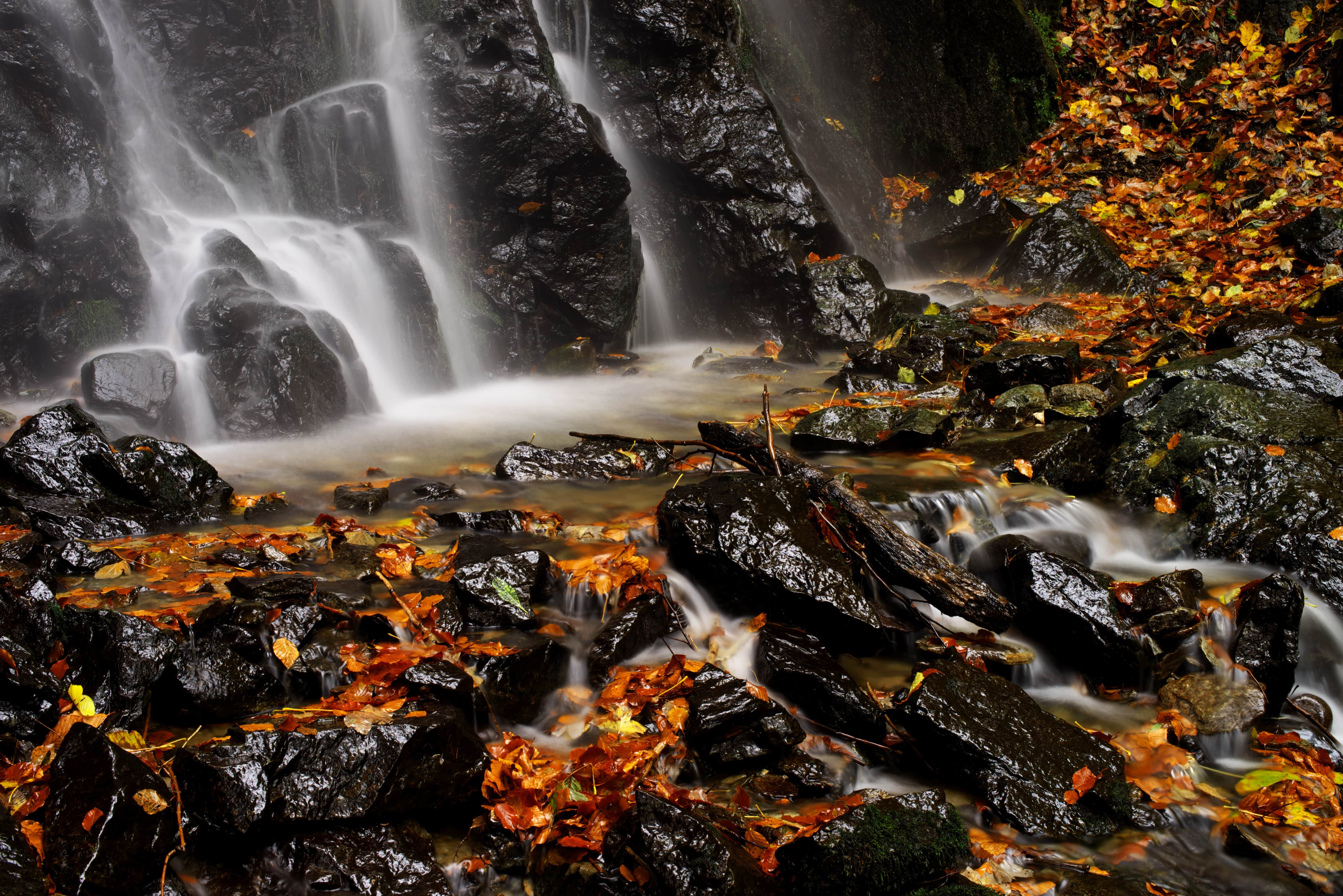 Fototapete VLIES-Tapete Premium Natur Steine Wasserfall Blätter Herbst Schwarz