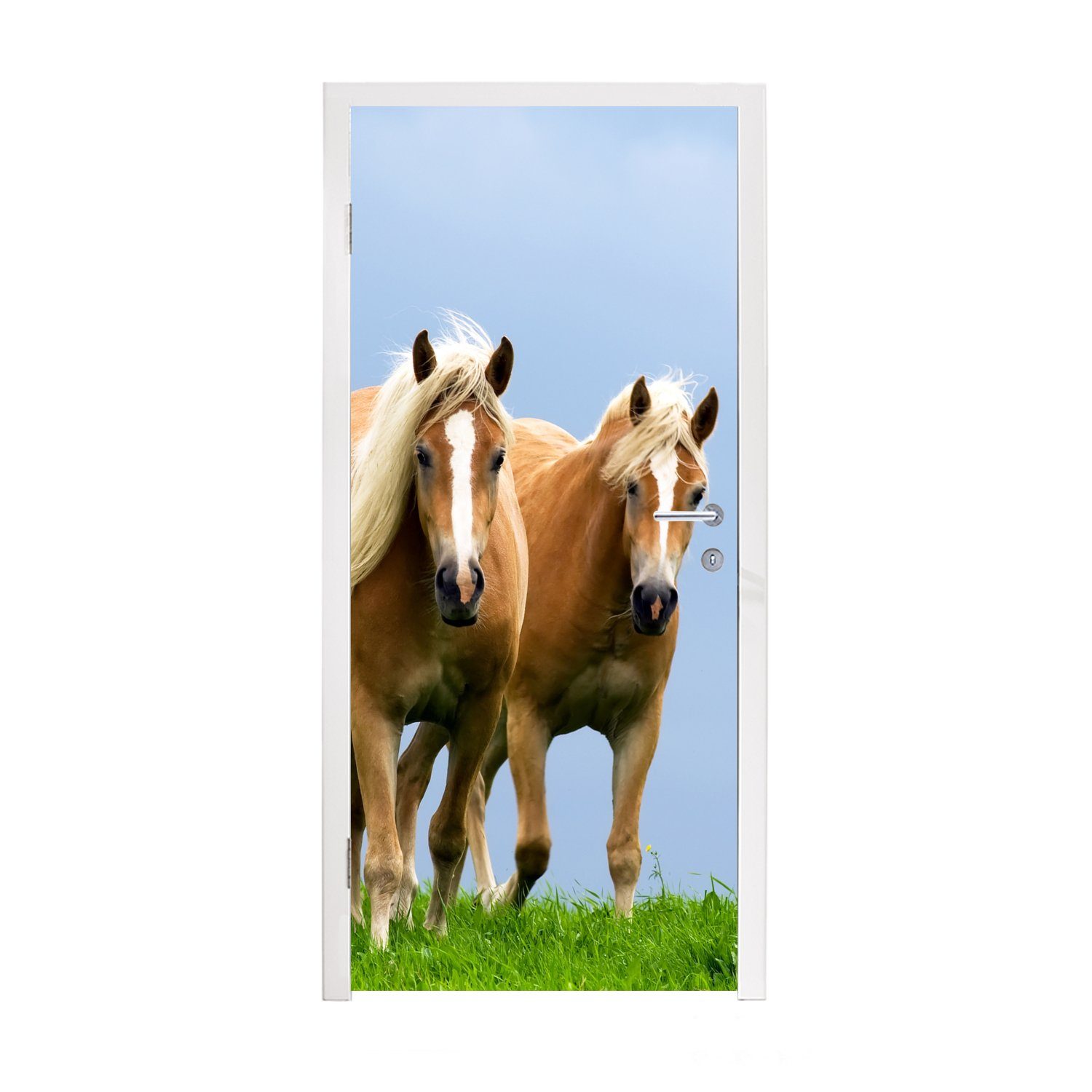 75x205 Türaufkleber, (1 - Fototapete MuchoWow Tür, für cm St), Pferde Matt, - bedruckt, Luft, Türtapete Gras