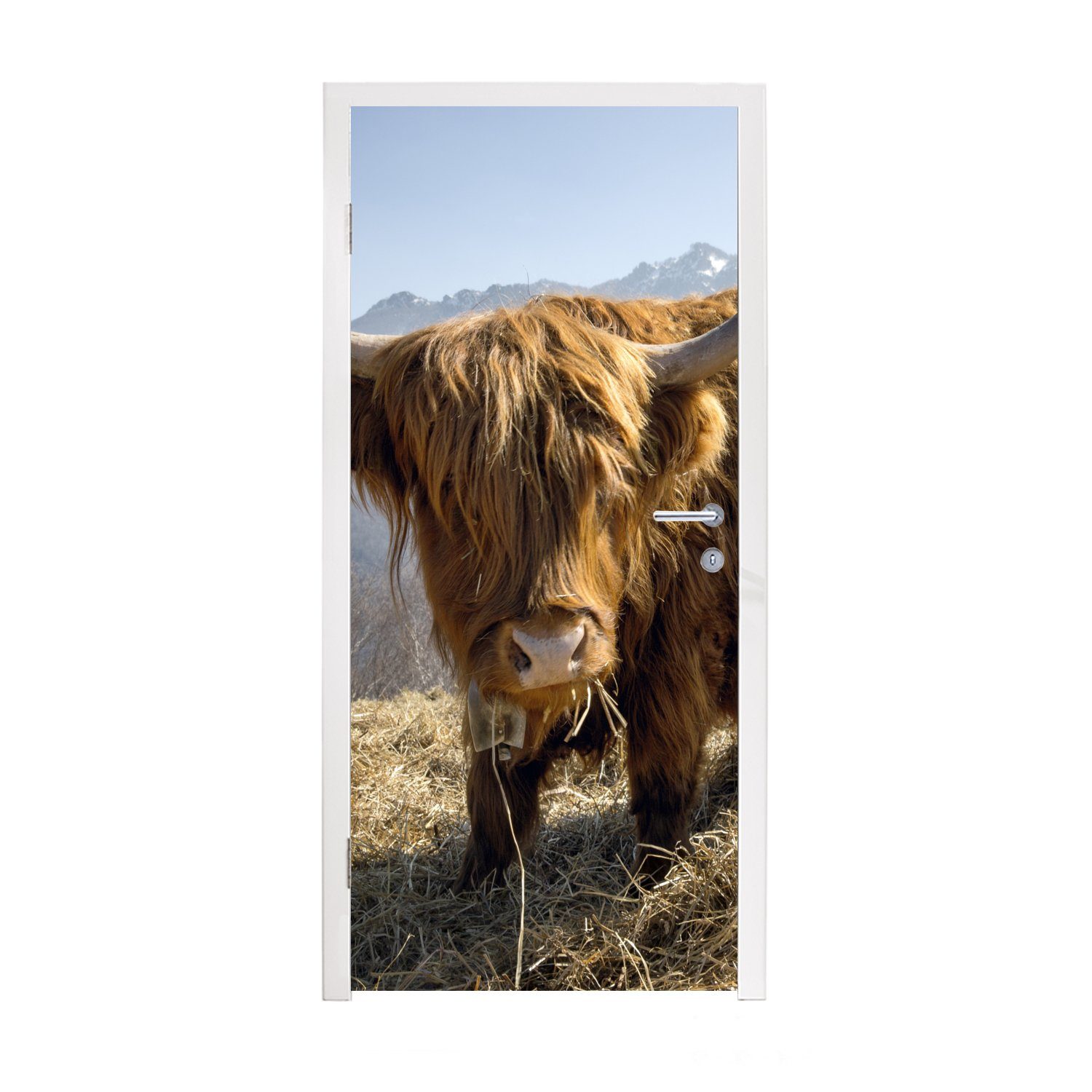 MuchoWow Türtapete Schottischer Highlander - Berg - Schnee, Matt, bedruckt, (1 St), Fototapete für Tür, Türaufkleber, 75x205 cm