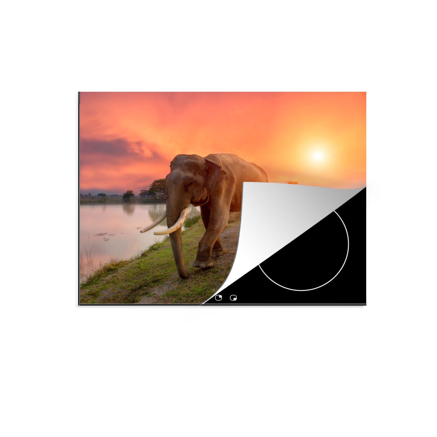 für küche, - - 59x52 cm, die - Sonnenuntergang - MuchoWow Elefant Tiere Natur, Herdblende-/Abdeckplatte Induktionsmatte (1 Wasser Vinyl, tlg), Ceranfeldabdeckung