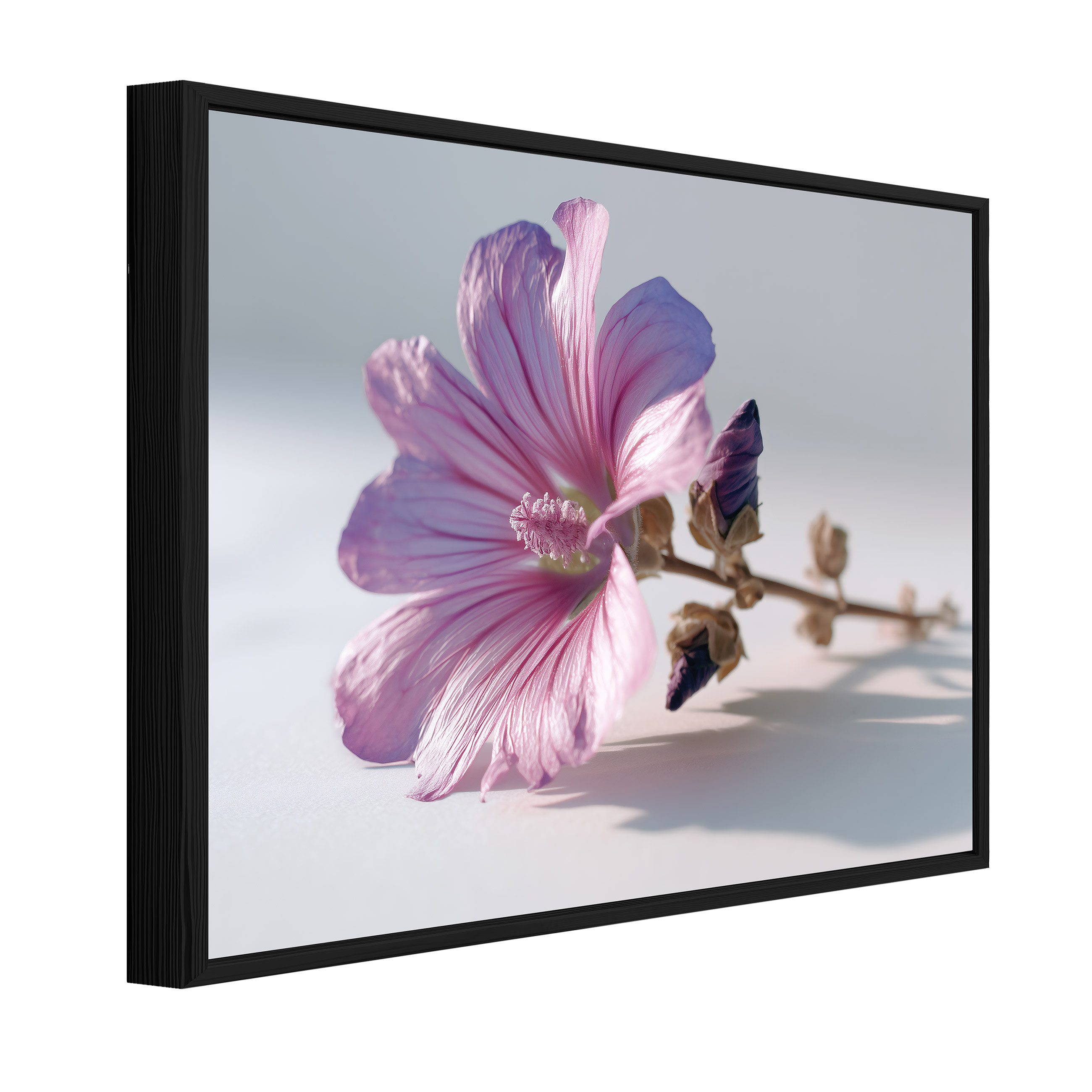 Wallarena Leinwandbild Blumen Natur - Rosa - Elegant - Schlafzimmer, Blumen, 60x40x2cm