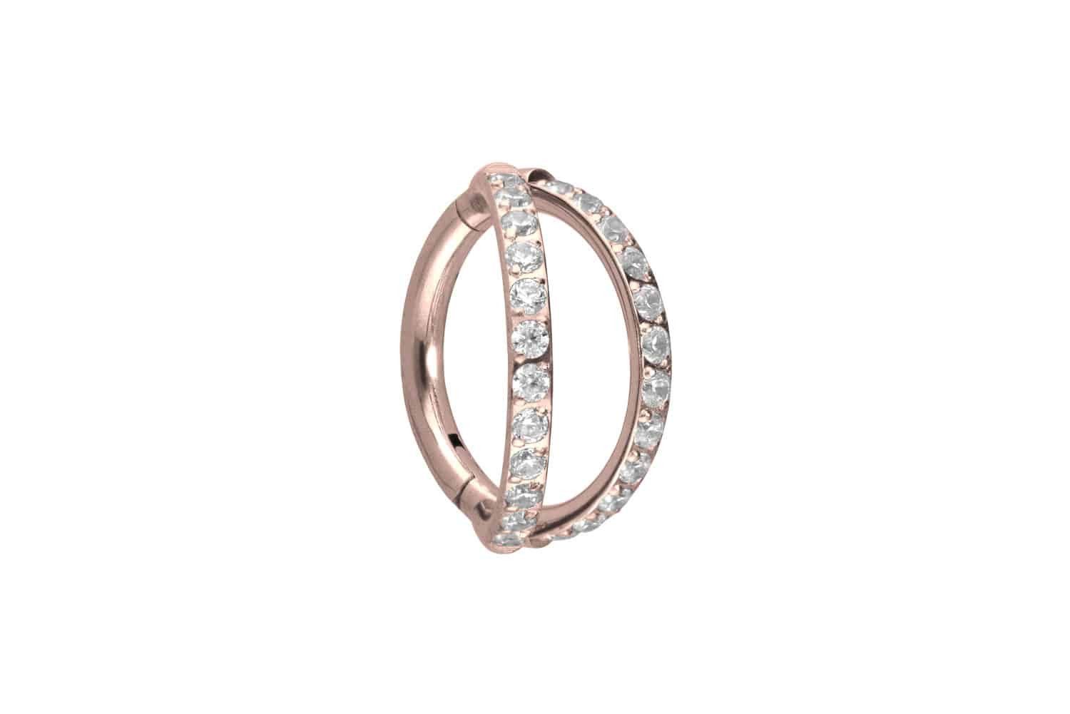 Nasenpiercing Titan Segmentring Clicker 2 RINGE + EINGEFASSTE KRISTALLE Ohrpiercing