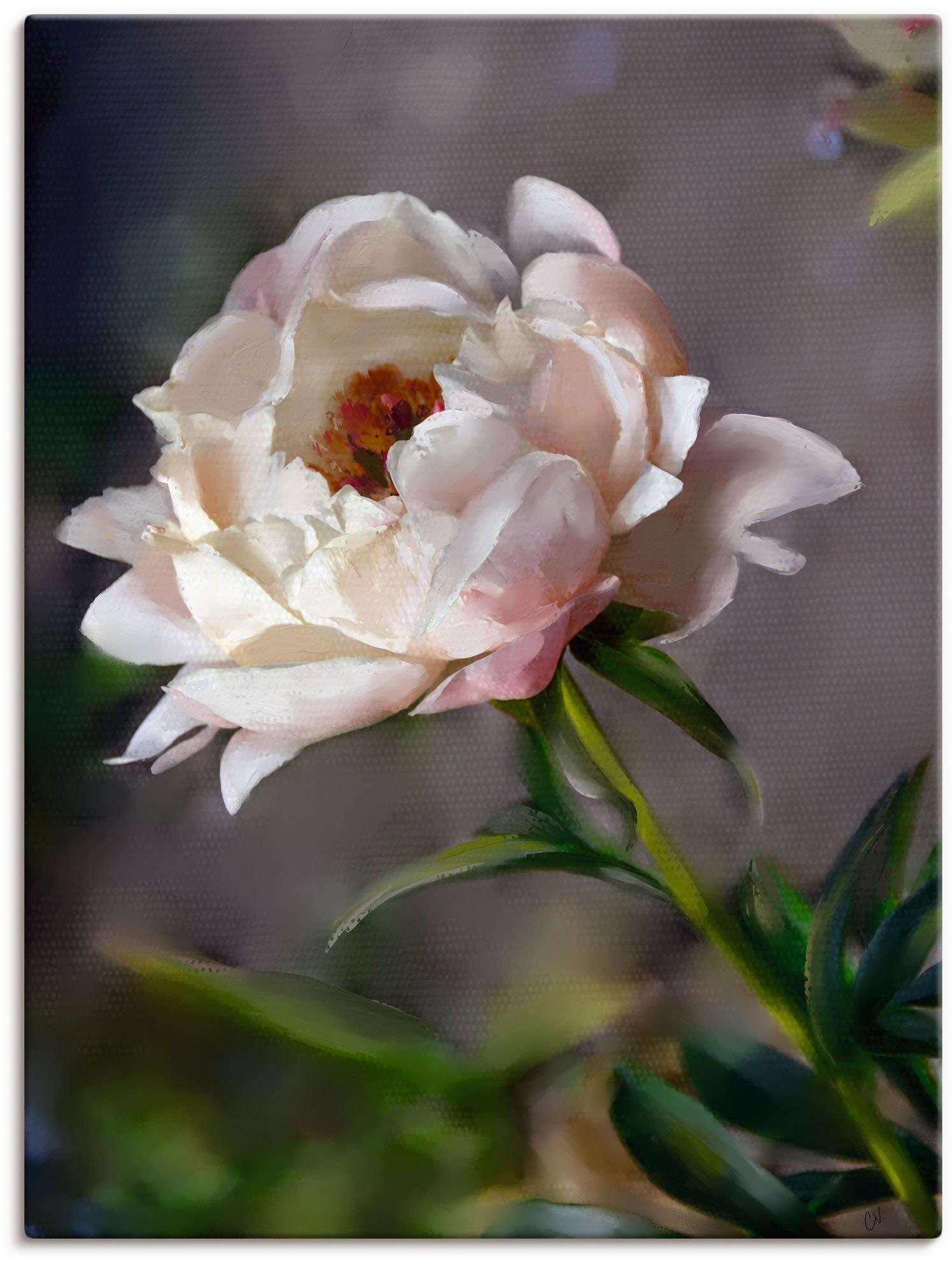 Artland Leinwandbild Pfingstrose Vintage, Blumenbilder (1 St), auf Holzrahmen gespannt
