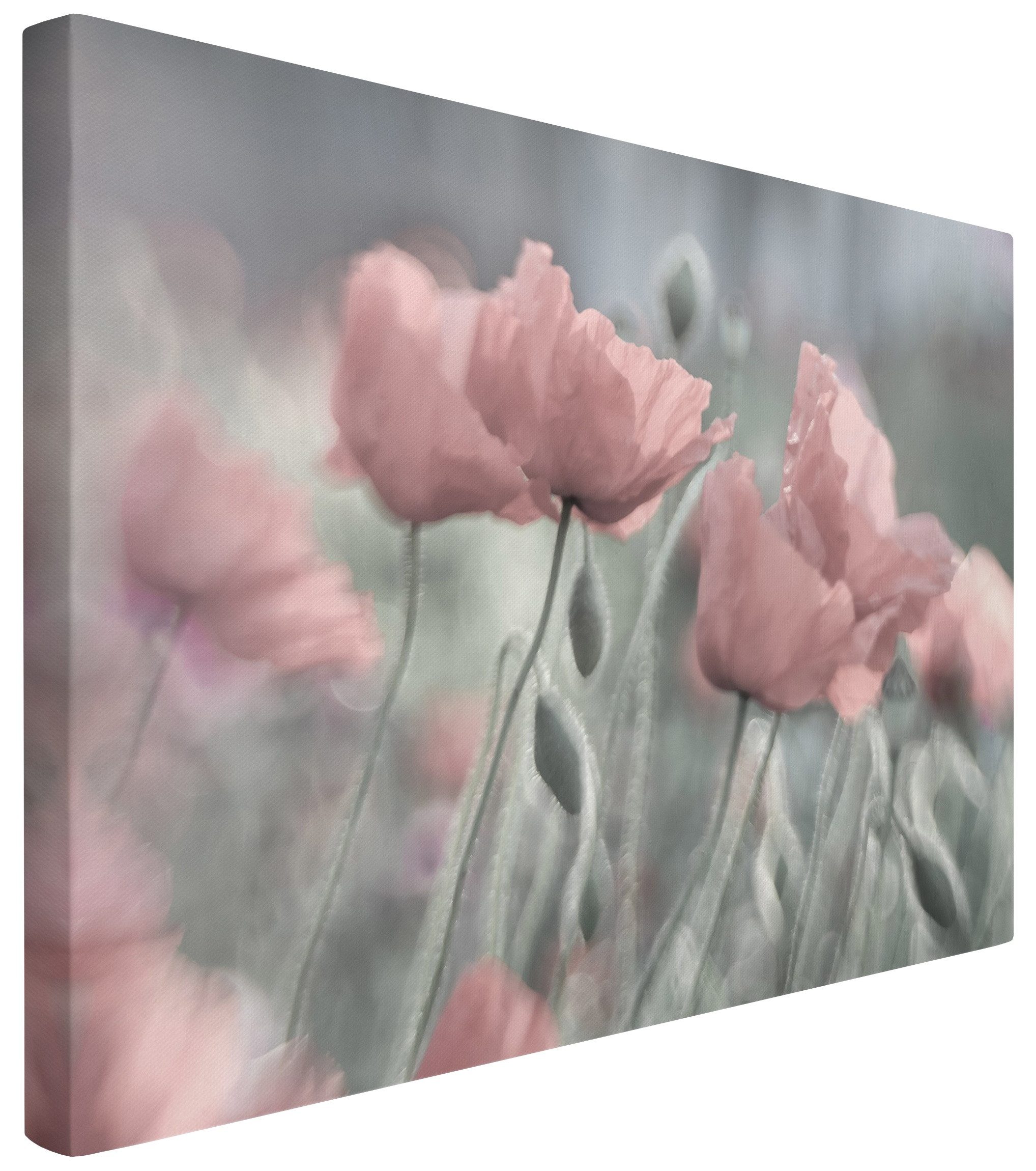 Bilderdepot24 Leinwandbild Blume Natur Modern Malerei günstig online kaufen