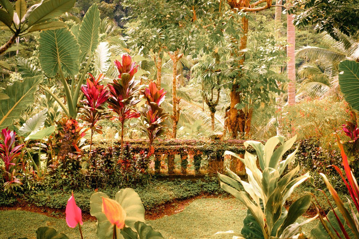 Papermoon Fototapete Fantasie tropischer Garten
