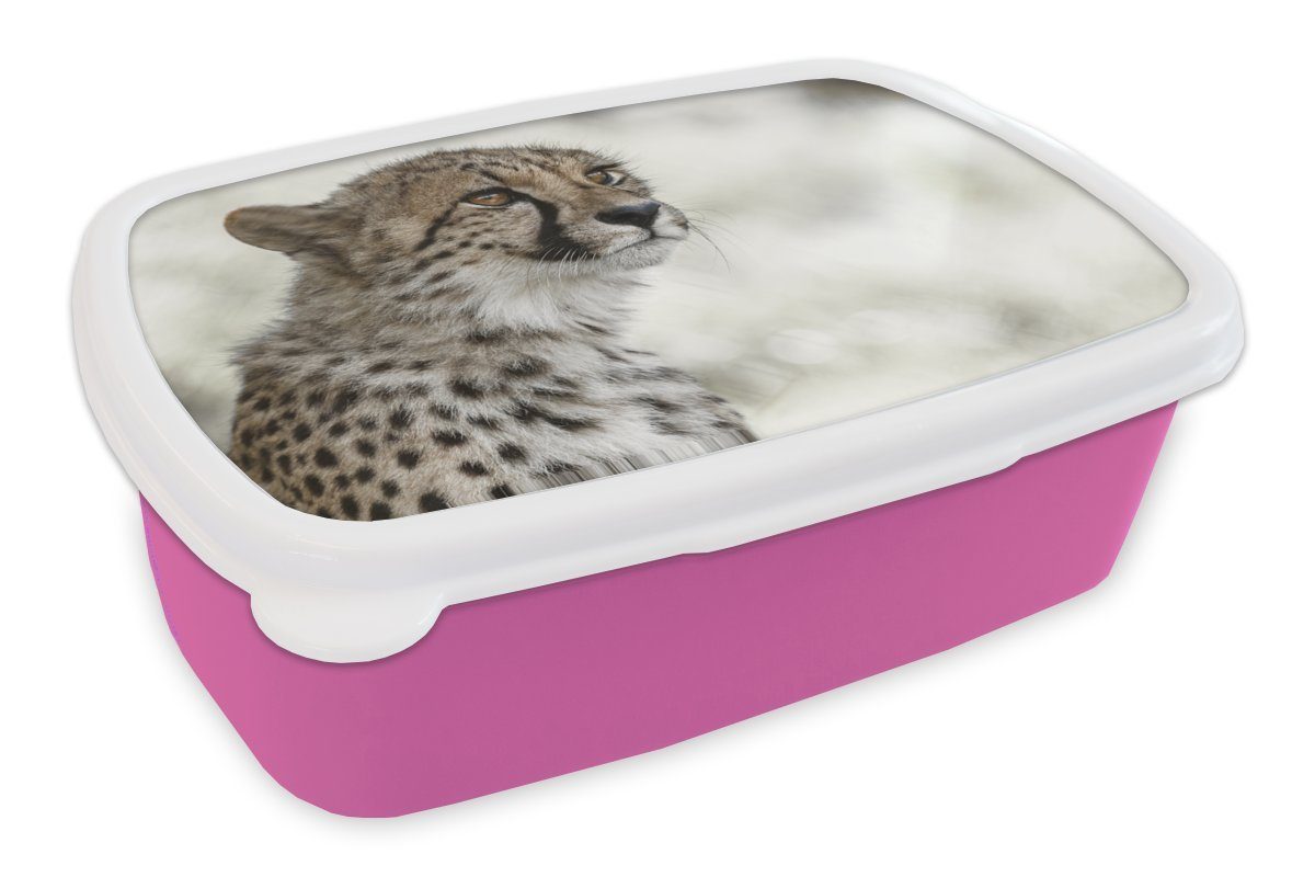 MuchoWow Lunchbox Junger Gepard im Schnee, Kunststoff, (2-tlg), Brotbox für Erwachsene, Brotdose Kinder, Snackbox, Mädchen, Kunststoff rosa