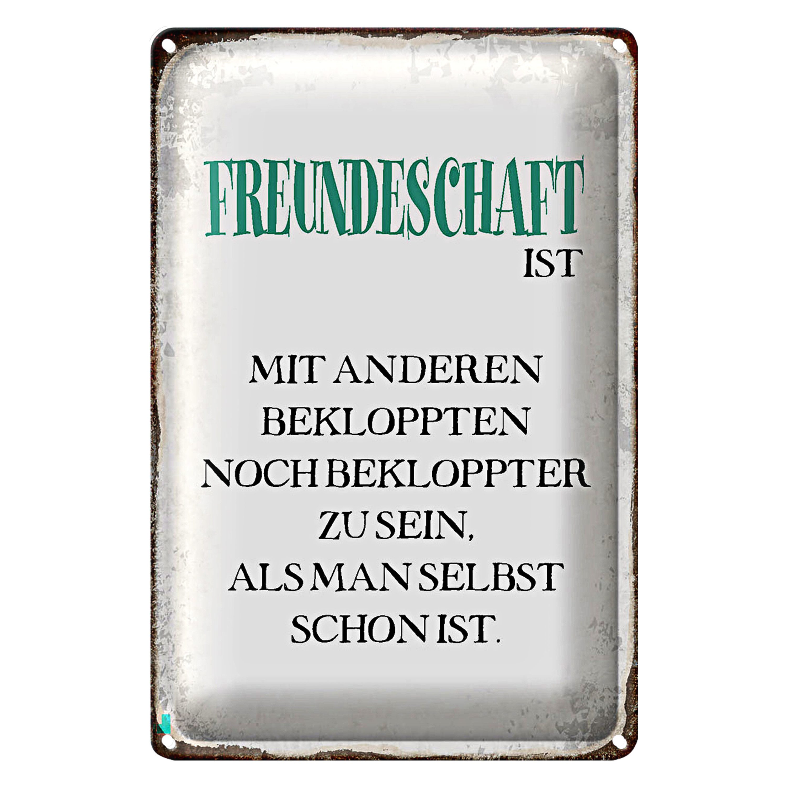 Metallschild Spruch 18x12cm Freundeschaft ist mit anderen